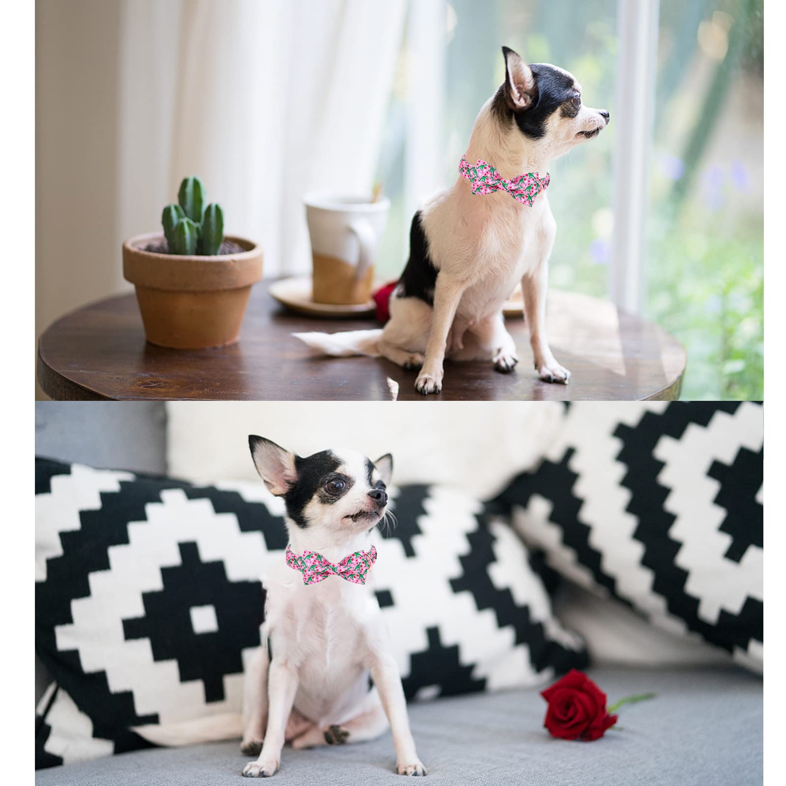 Unique Style Paws Dog Collar With Bowtie Pink Dinosaur & Heart Puppy Collar Suitable For Small Medium Large Dogs With Adjustable Safety Metal Buckle For Valentine'S Day-Xs