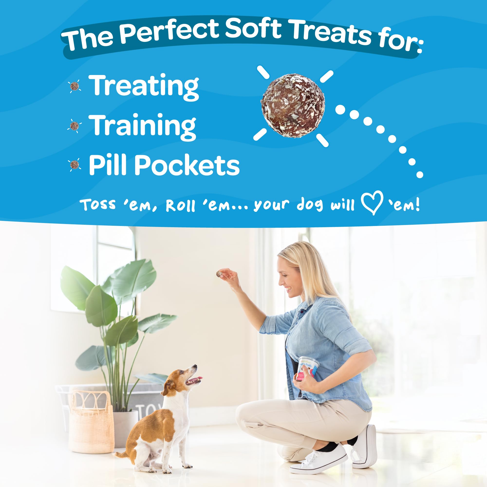 TREAT-A-BALLS Cranberry, Pumpkin & Apple Healthy Dog Treats - Vegan, Non-GMO, Gluten-Free, 7oz (Pack of 6) - All Natural, Soft &