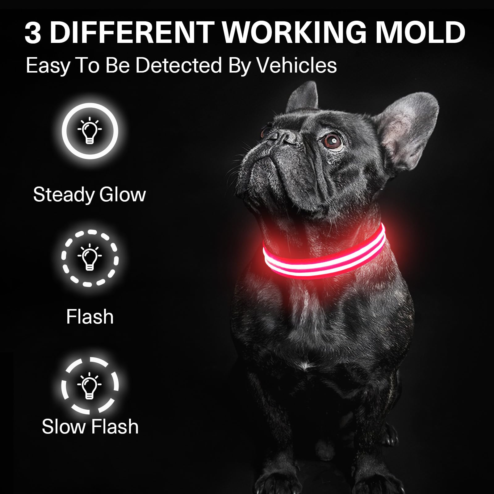 Light Up Dog Collar For Night Walking, Rechargeable Waterproof Led Dog Collar, Glow In The Dark Dog Collars Led Lighted For Larg
