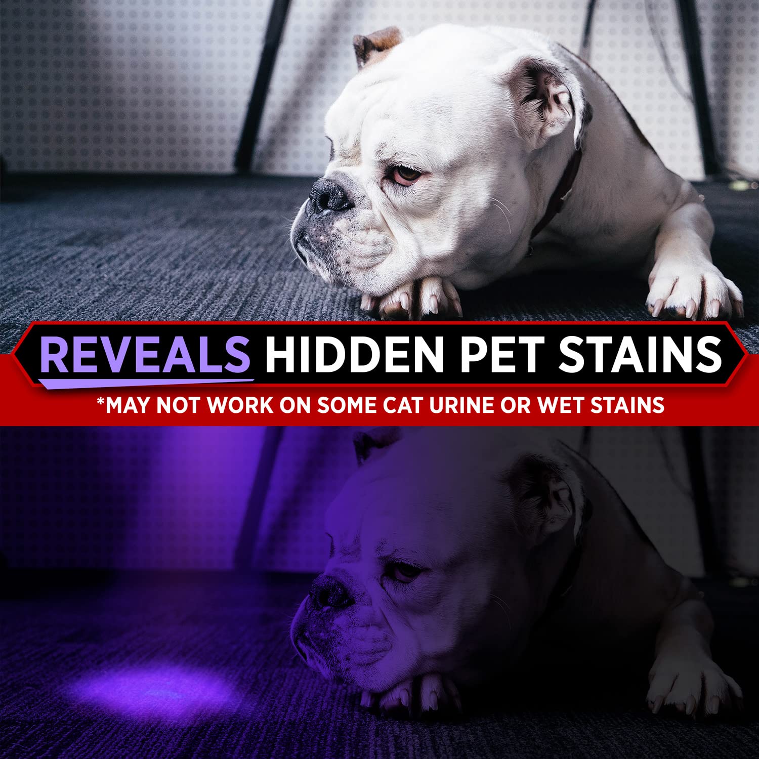 Gearlight Uv Flashlight With Batteries S68 Black Light - Portable, Handheld, 68 Led Blacklight Flashlights - Ultraviolet Lights