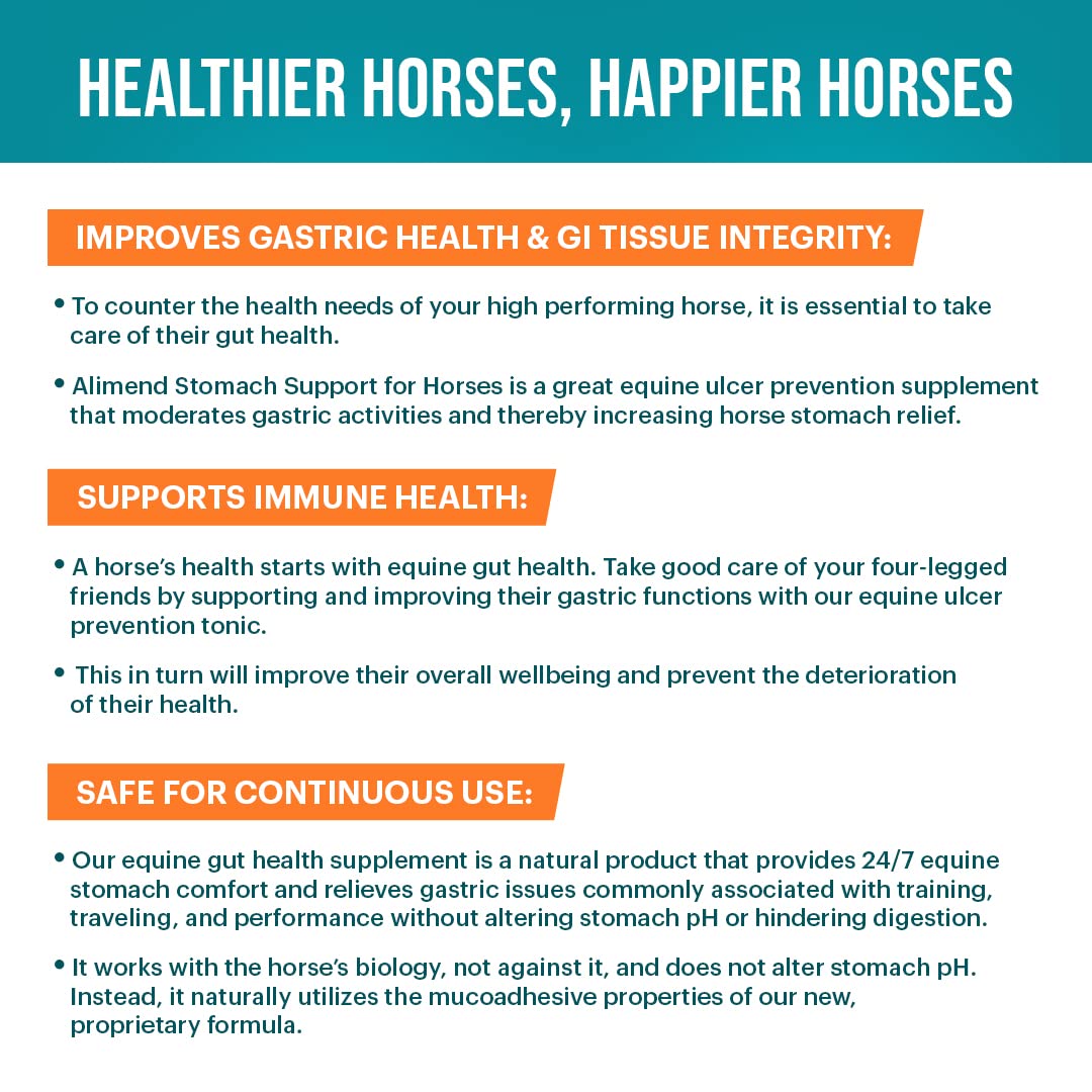 Vitalize Alimend Stomach Gastric Support for Horse, Equine Ulcer Support Solution - 64 fl oz (1893 ml)