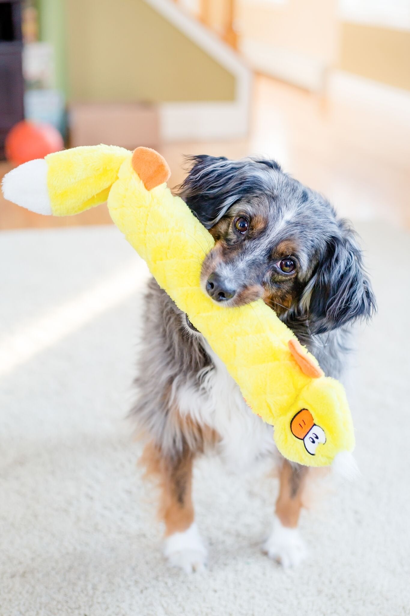 Zippypaws Jigglerz Plush Dog Toy With Squeaker, Stuffed Toy For Tough Play, Duck
