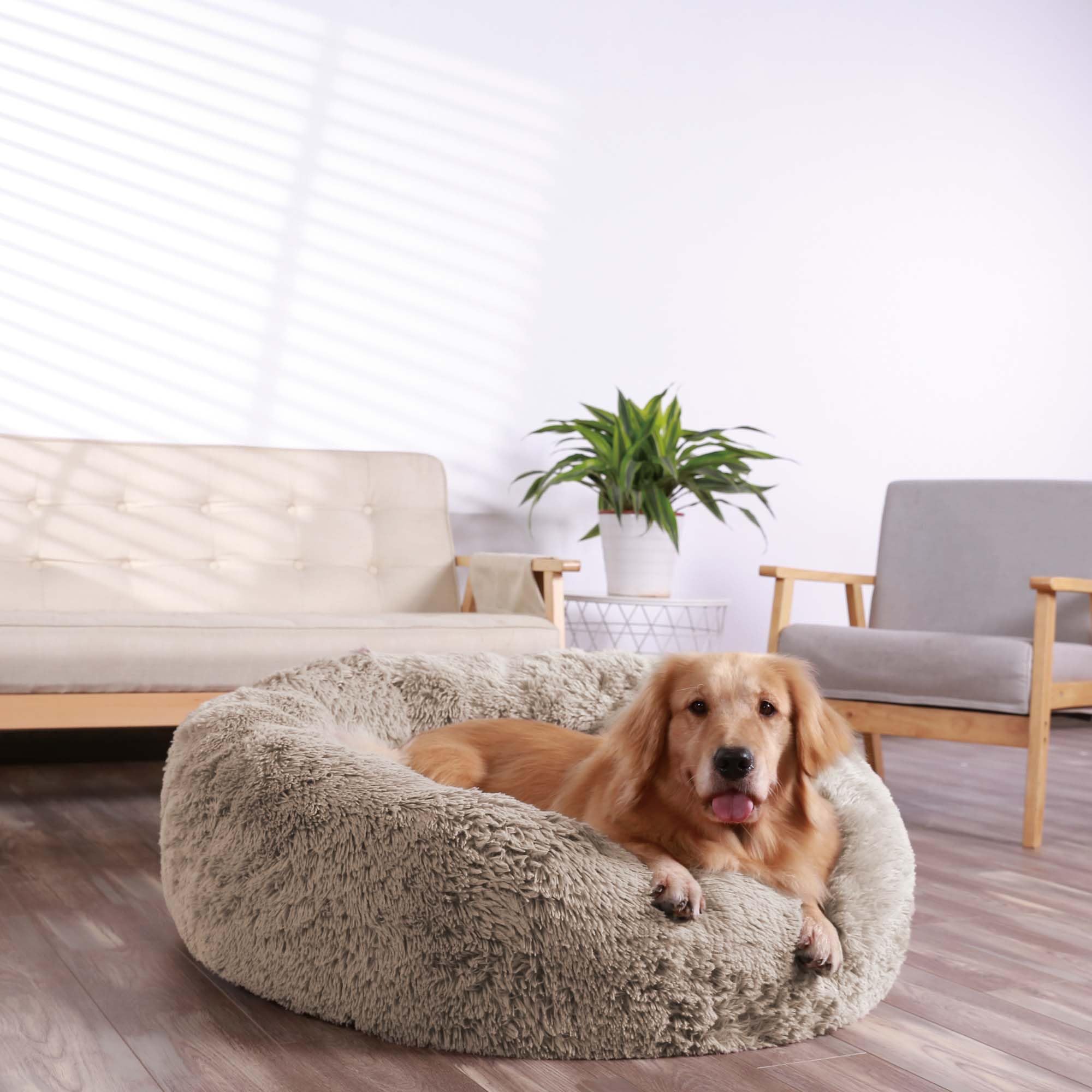 Hachikitty Calming Donut Cuddler Dog Bed, Indoor Puppy Beds For Large Dogs, Xlarge 36''