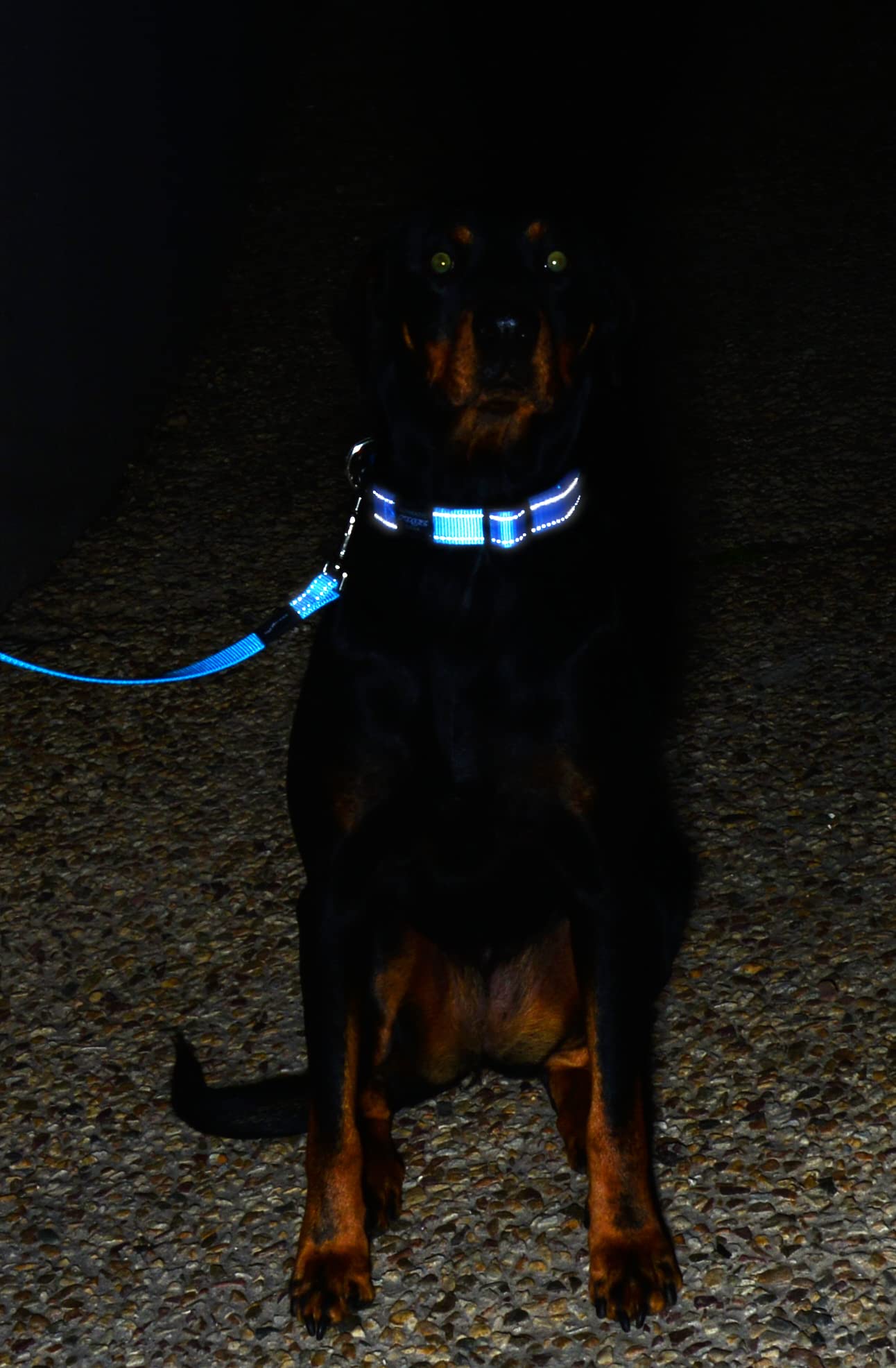 Reflective Dog Leash For Large Dogs, 3/4' Wide, 6' Long, Black