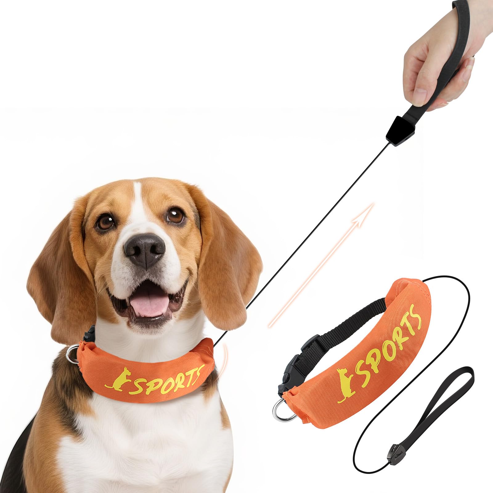 2 In 1 Dog Collar With Retractable Dog Collar And Leash Adjustable Collars For Small To Medium Dogs