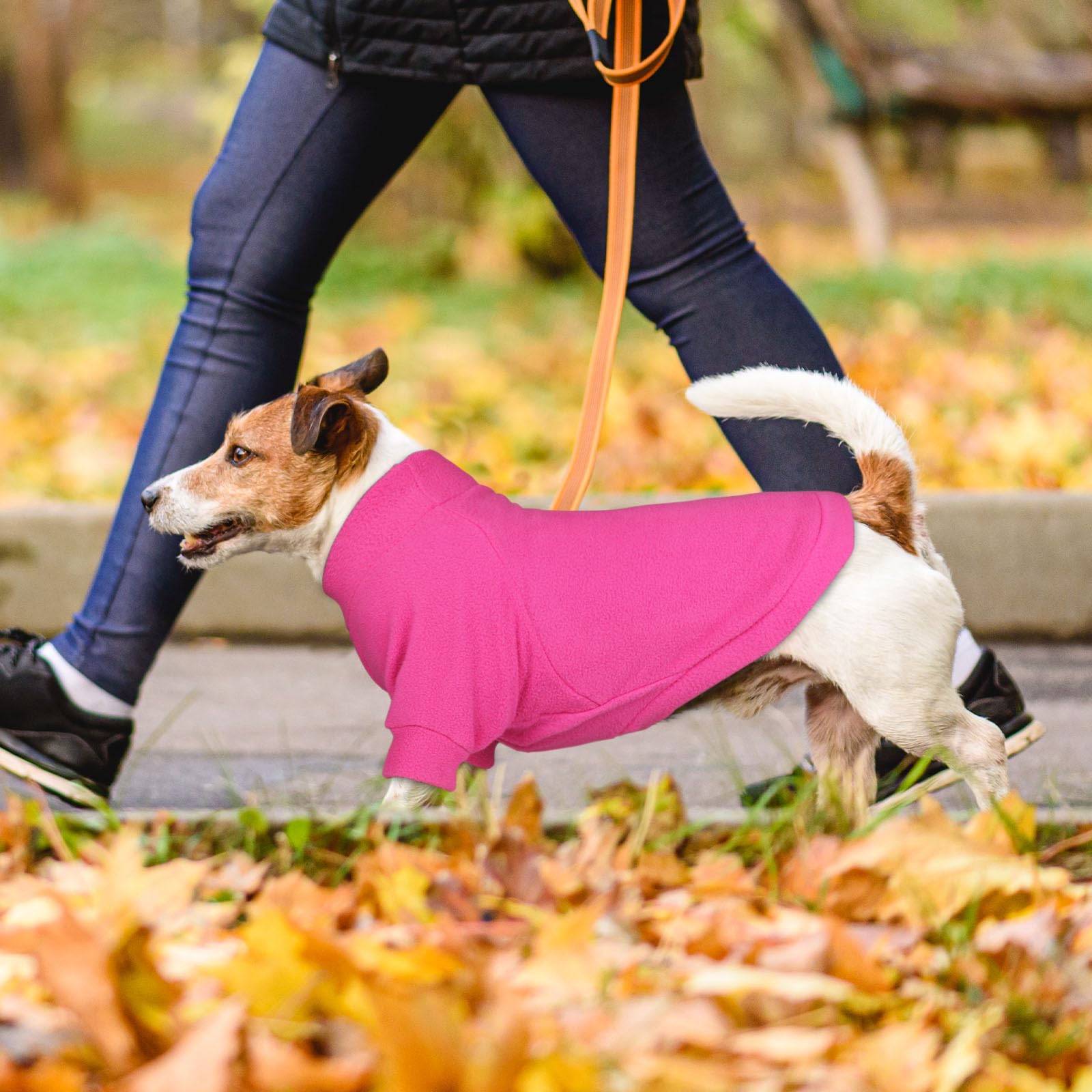 3 Pack Pet Sweaters For Small Dogs, Fleece Turtleneck Soft Warm Dog Sweatshirt Puppy Sweater Boy Girl (Pink+Hotpink+Purple,S)