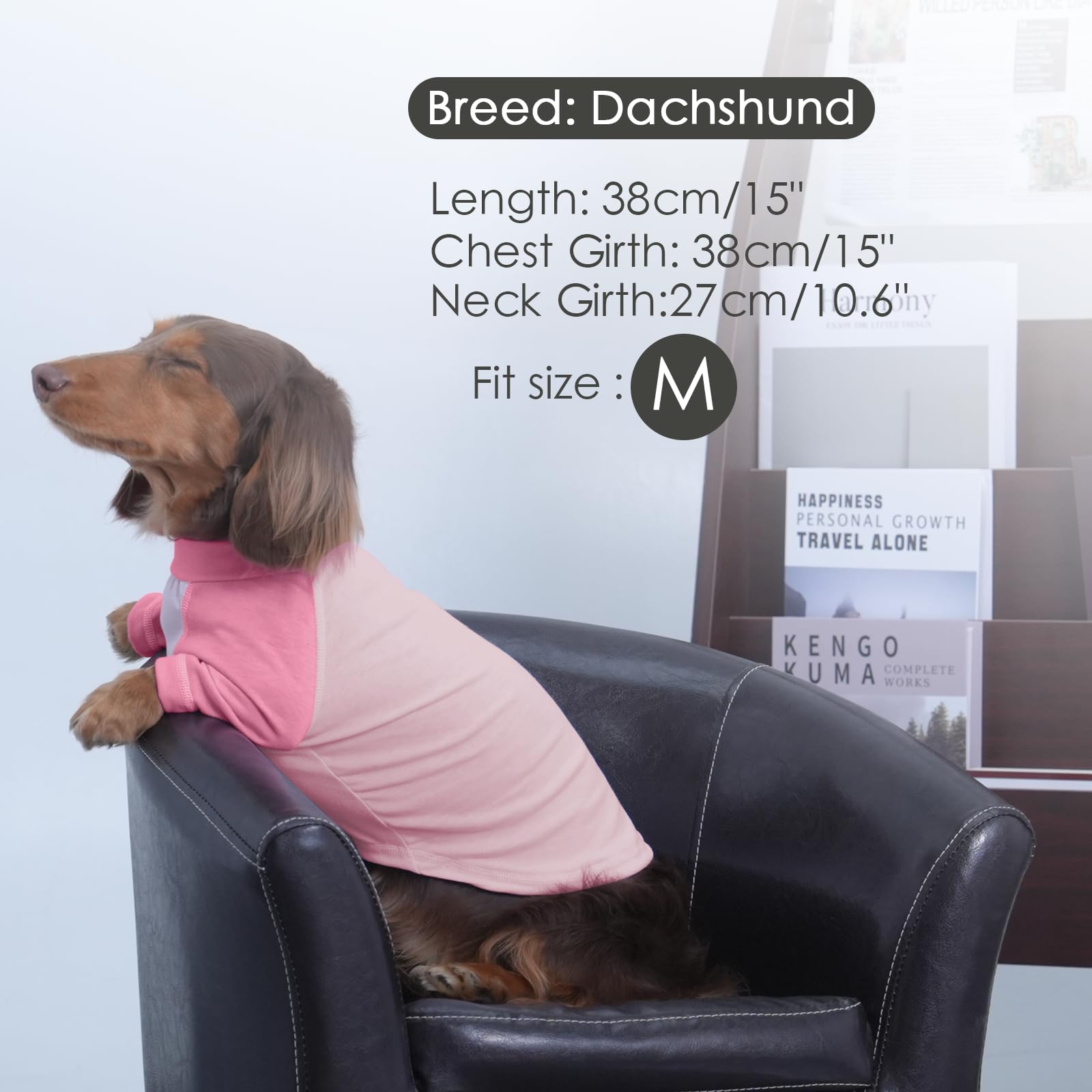 2 Pack Dog T-Shirts, Medium, Pinkpurple, Lightweight & Comfortable Long-Sleeve Summer Pet Tee Shirts, Machine Washable, Protecti