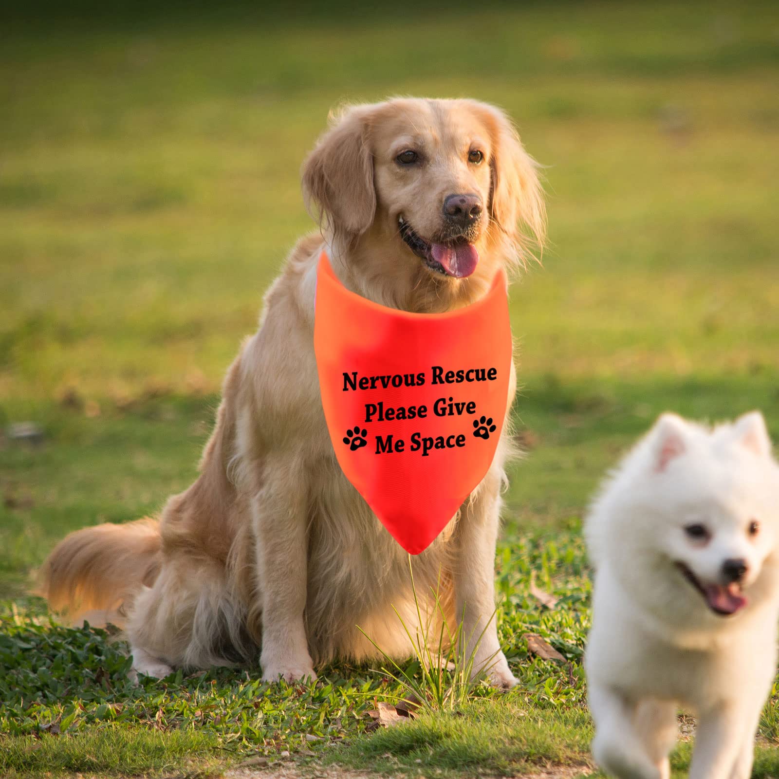 Funny Dog Bandana Nervous Rescue Please Give Me Space Dog Pet Scarf Baby Shower Alert Pet Bandanas(Give Me Space)