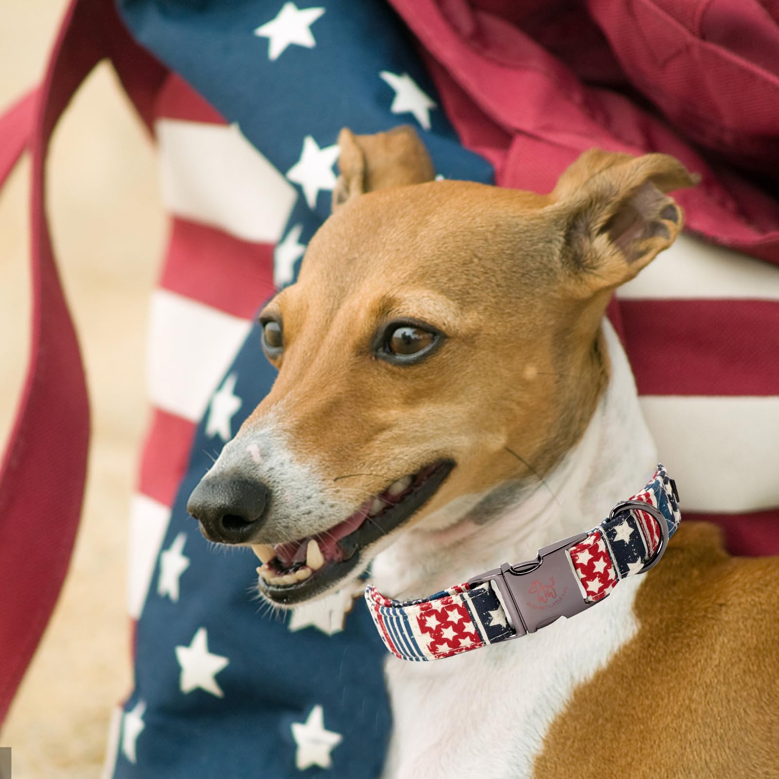 Elegant Pink Floral Print Summer Dog Collar - Cotton, Durable, Metal Buckle For X-Small Dogs