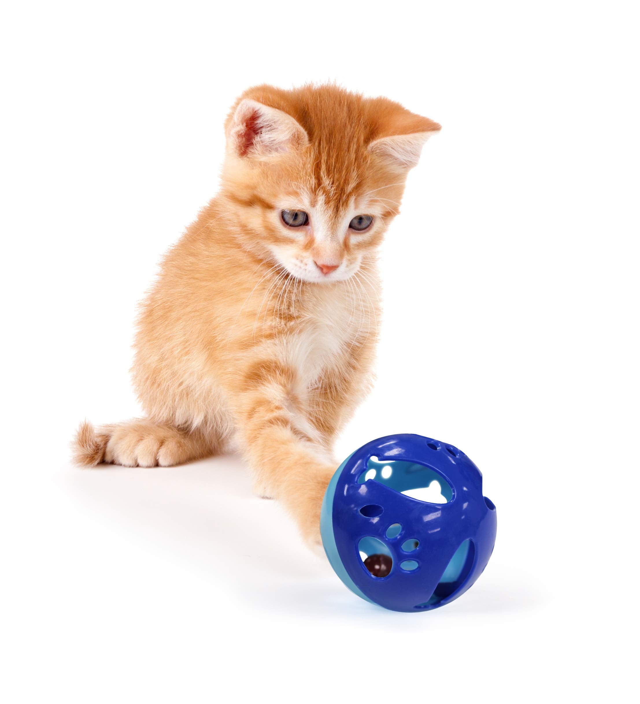 Pets First Large Size Cat Ball With Bell Toy For Cats Kittens And Other Animals - Hours Of Play For Pets, Large Size For Extra Fun, Rings As It Moves