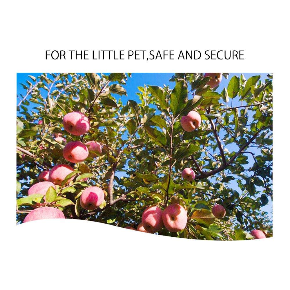 Pesandy Bunny Chew Toys For Teeth, Organic Apple Wood Molar Sticks With Timothy Hay Circles For Bunny Chinchilla Guinea Pig Hamsters Holland Lop Prairie Dogs Squirrels Gerbils, Improves Dental Health