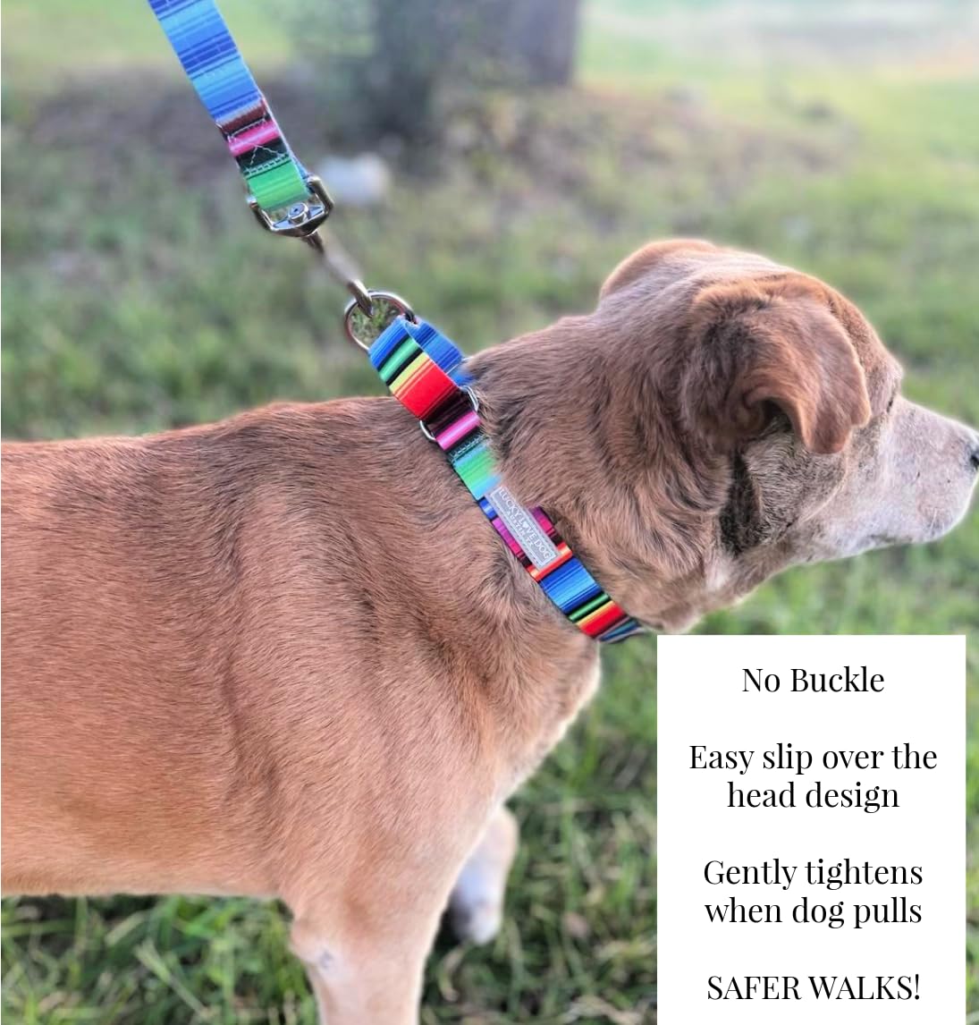 Lucky Love Dog Martingale Dog Collar - Adjustable, No-Slip, Comfortable, Durable, Soft Webbing & Stylish Patterned Dog Collar Fo