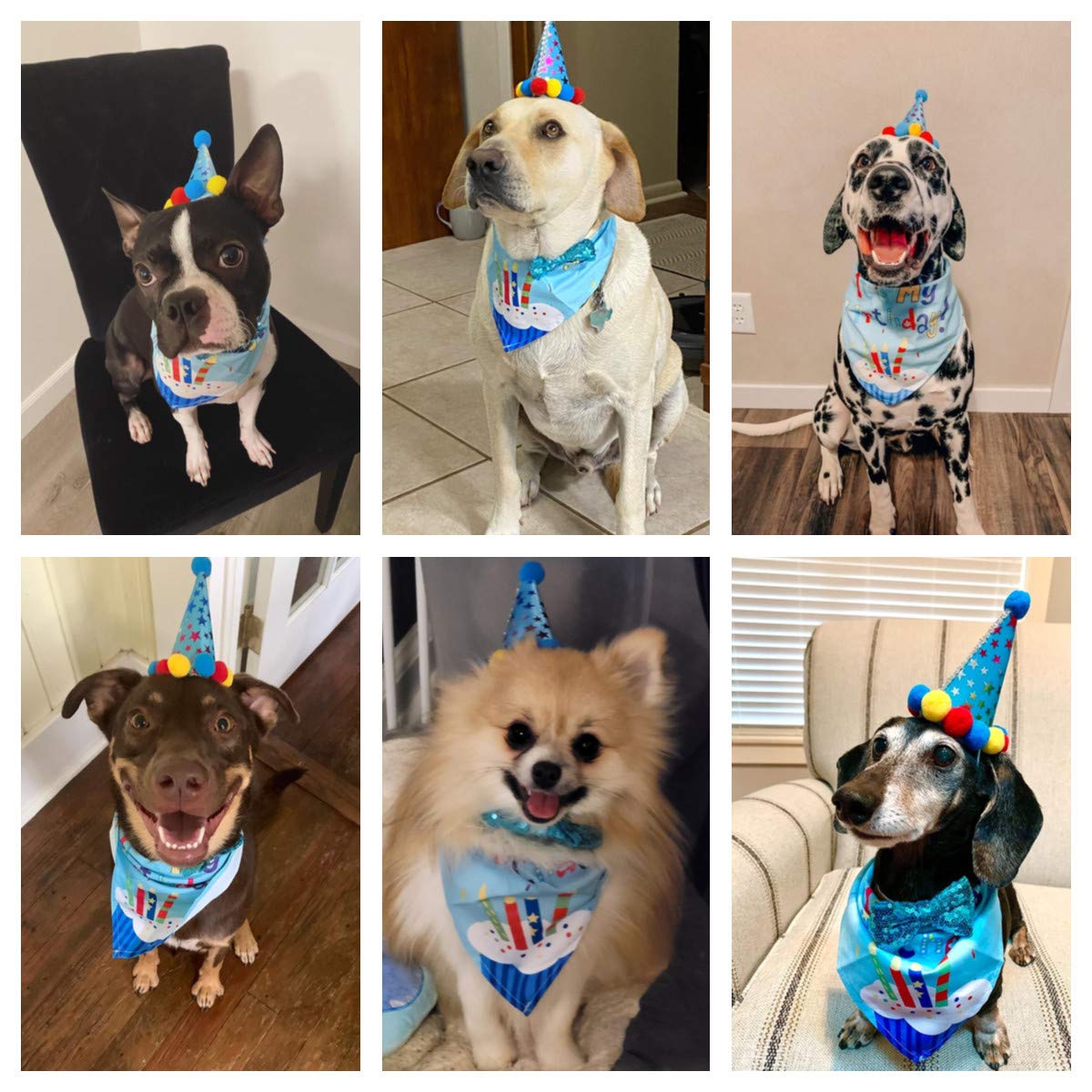 Adoggygo Dog Birthday Bandana Scarf And Blue Boy Pet Birthday Party Hat With Cute Bow Tie For Medium Large Dog Pet (Large)