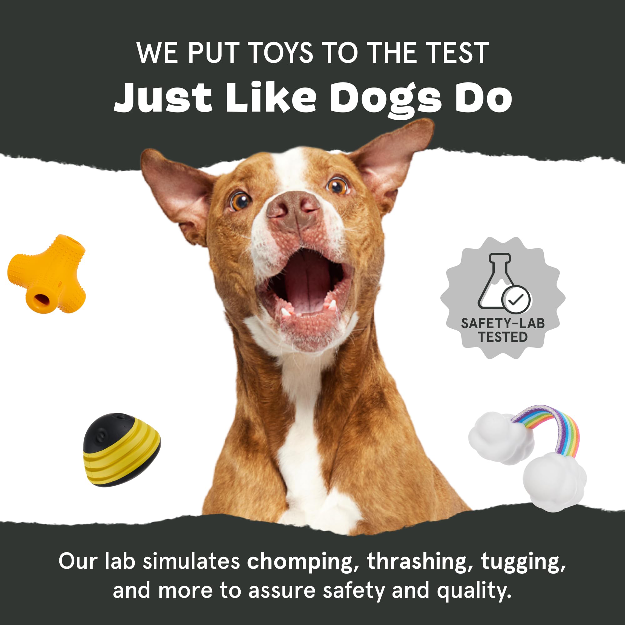 Barkbox Pine Cone Dog Toy - Durable Natural Rubber, Treat Dispensing, Medium Size, Ideal for Aggressive Chewers