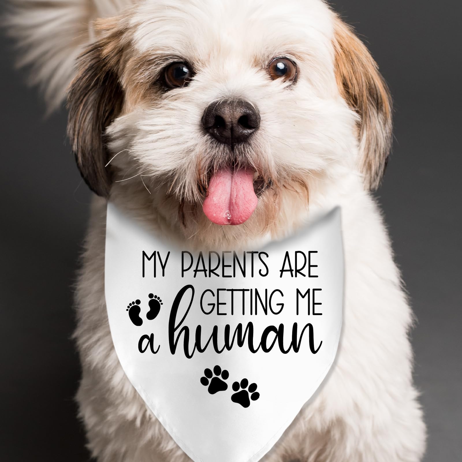 My Parents Are Getting Me A Human Dog Pregnancy Announcement Bandana Pregnancy Dog Bandana For Dogs Pet Accessories For Dog Love