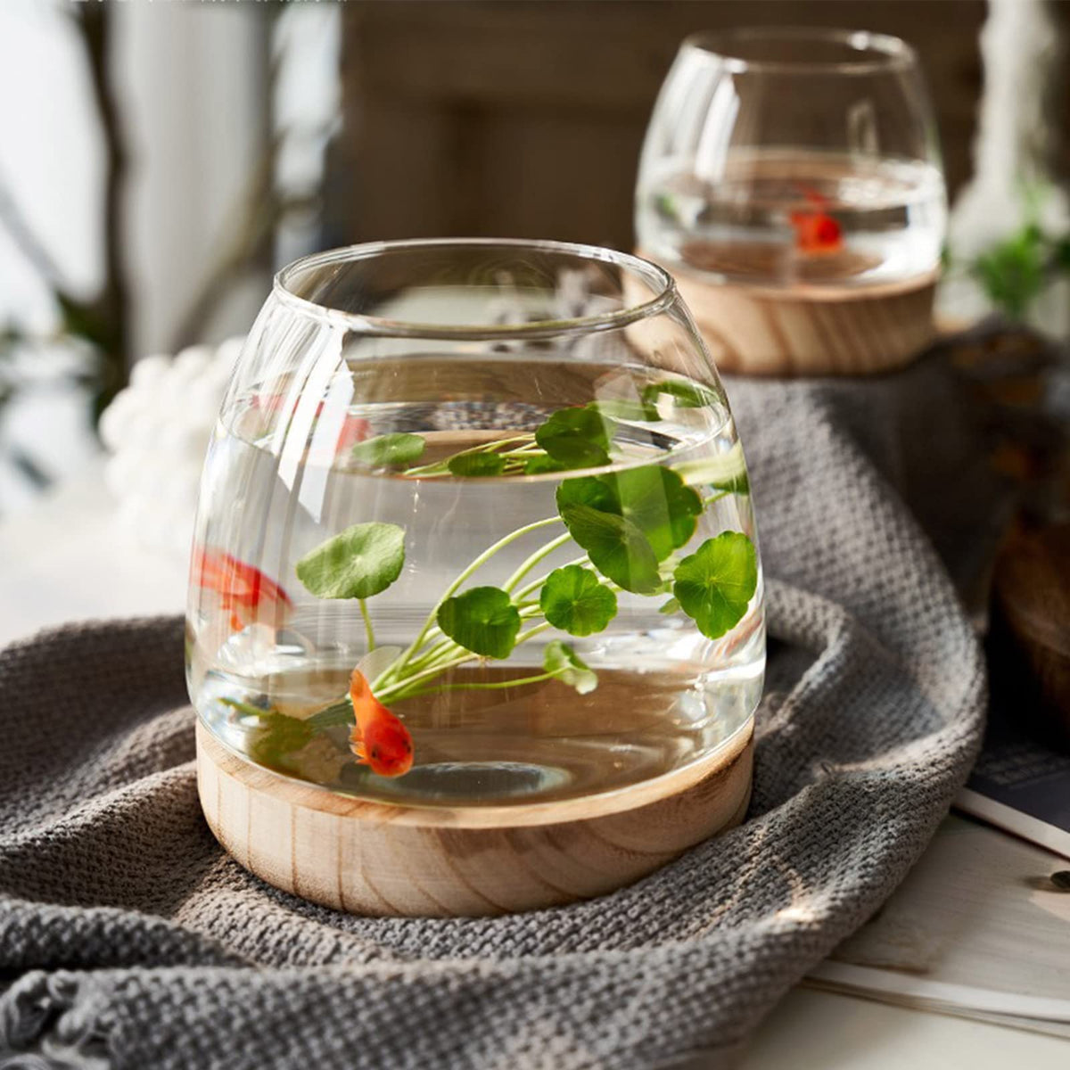 Tsyfm Mini Fish Tank Fish Bowl, Small Desktop Glass Fish Bowl Glass Round Bowl Vase Hydroponic Plant Terrarium Ecological Aquari