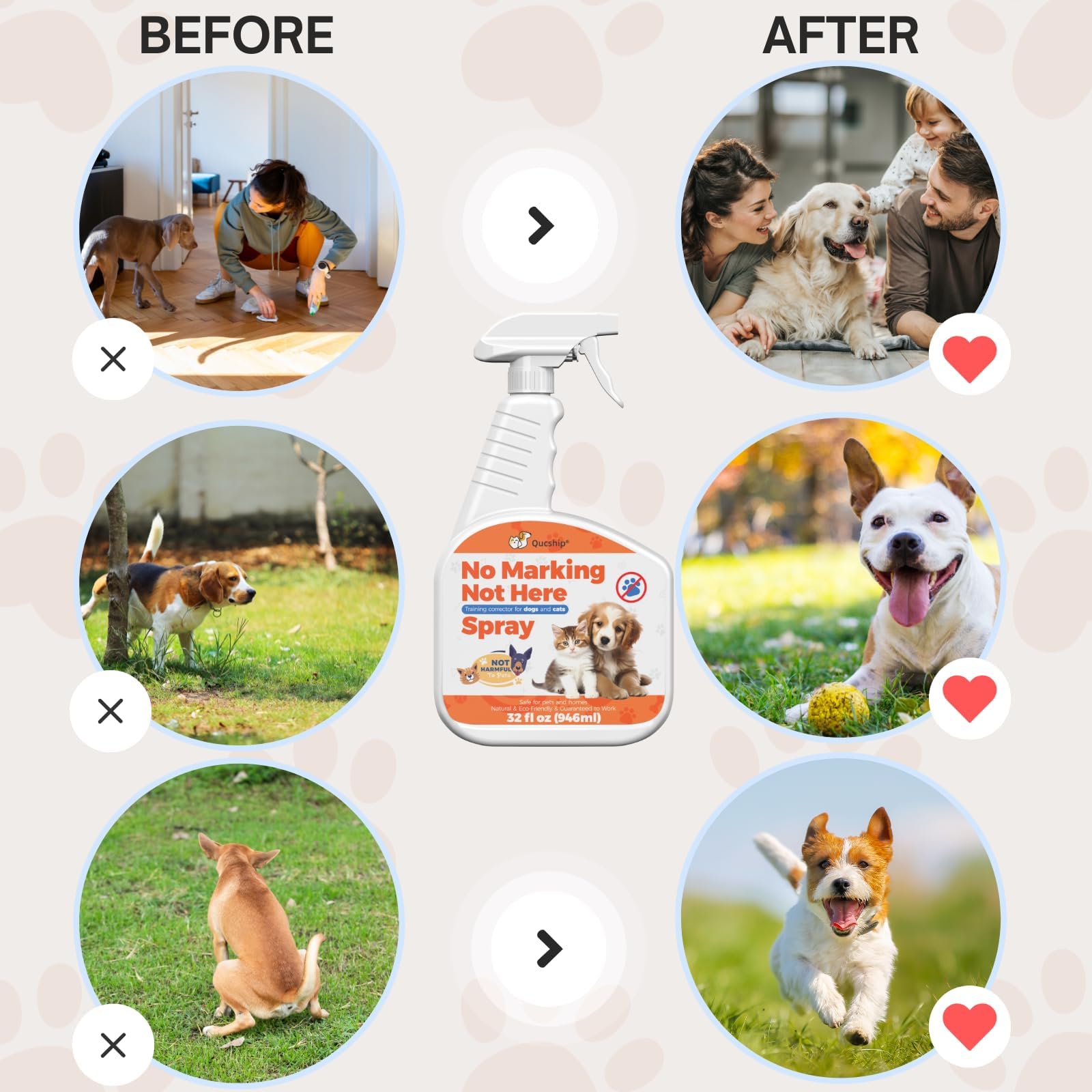 Qucship Teaches Dogs To Urinate In A Designated Place, 32 Oz Professional Spray To Improve Home Hygiene