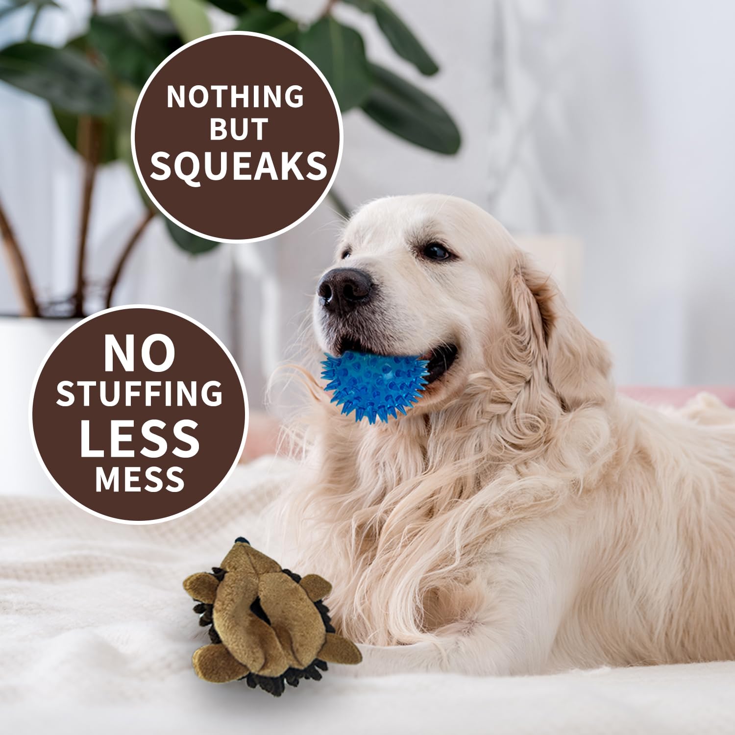 Chongqile Plush Hedgehog Dog Toys 3 PCS - Squeaky No-Stuffing Hedgehog for Small and Medium Dogs - Keep Your Puppy Busy with Mul