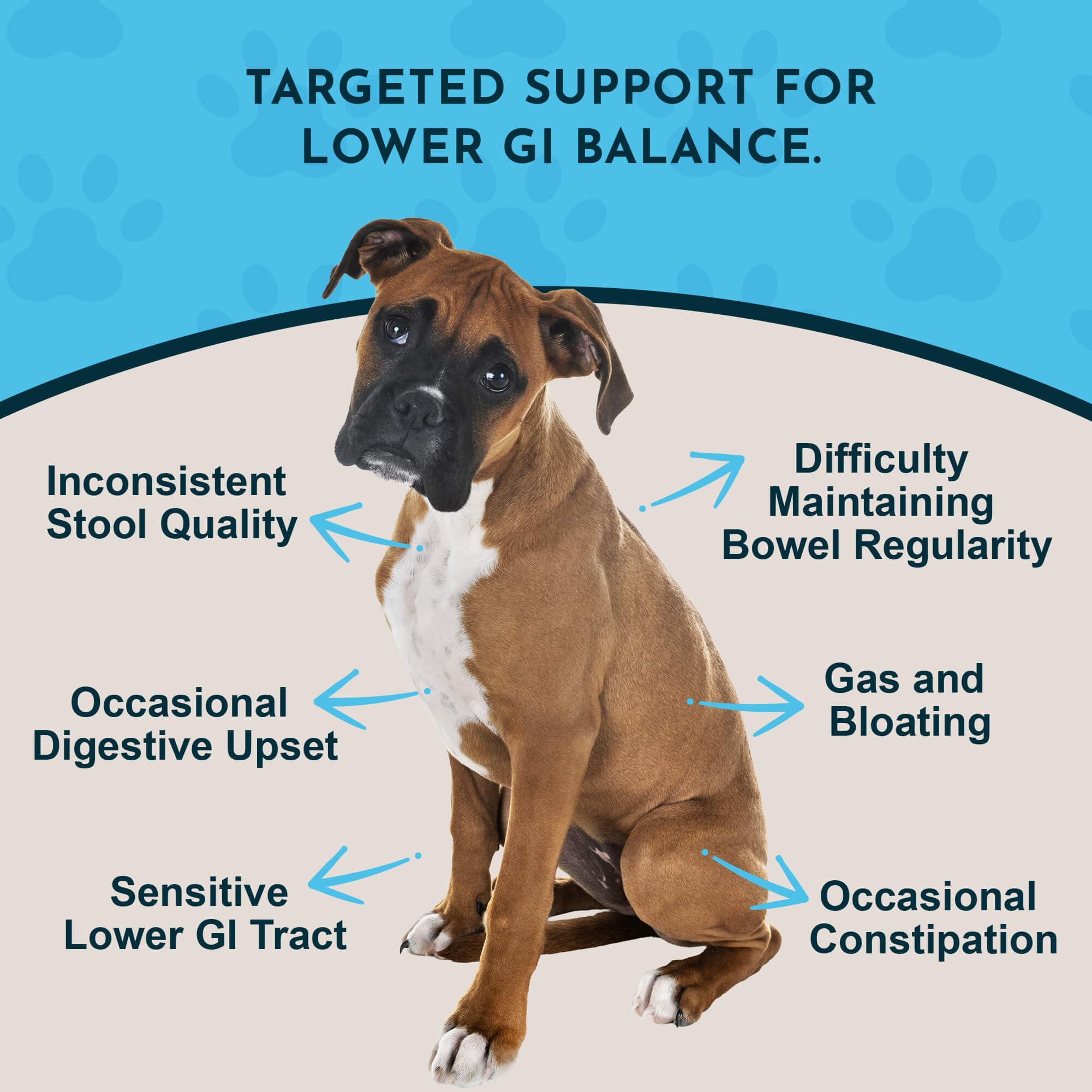 Animal Essentials Colon Rescue for Dogs & Cats - Herbal Laxative, Constipation Relief, Stool Softener with Slippery Elm, Marshma