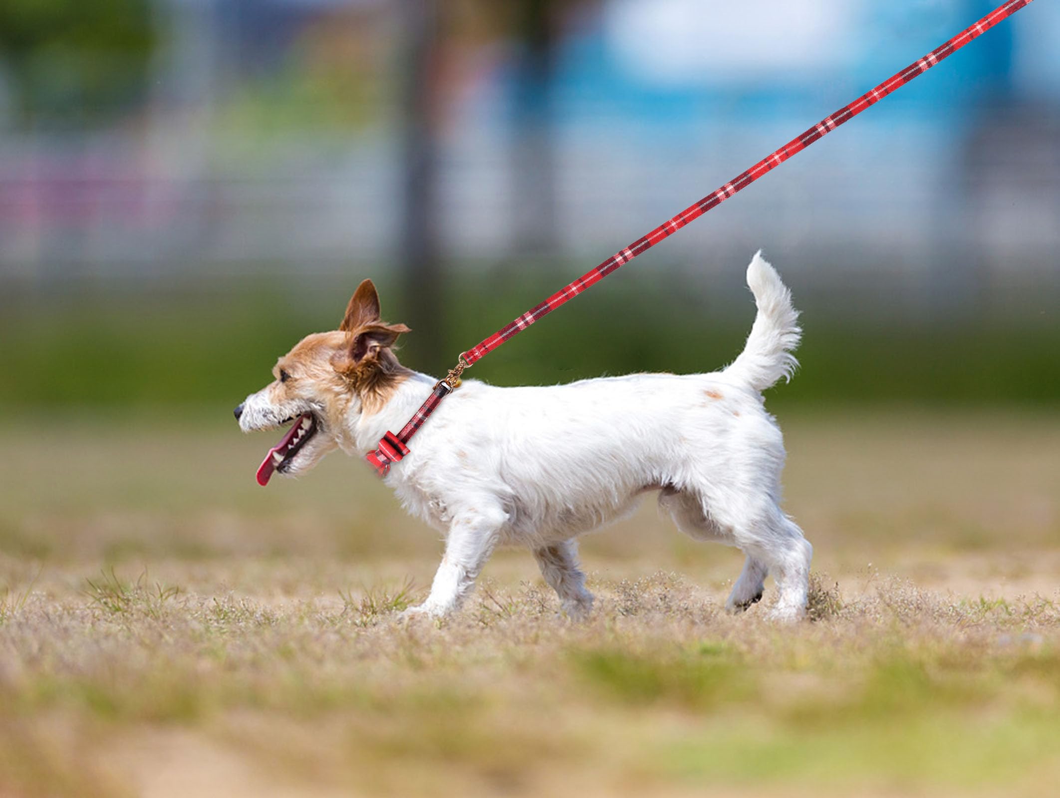 3 Pcs Puppy Collar And Leash Set Dog Collars For Small Dogs Dog Bow Tie With Bell Puppy Bandana Leather Dog Collar For Small Dogs Puppies And Cats(Red)
