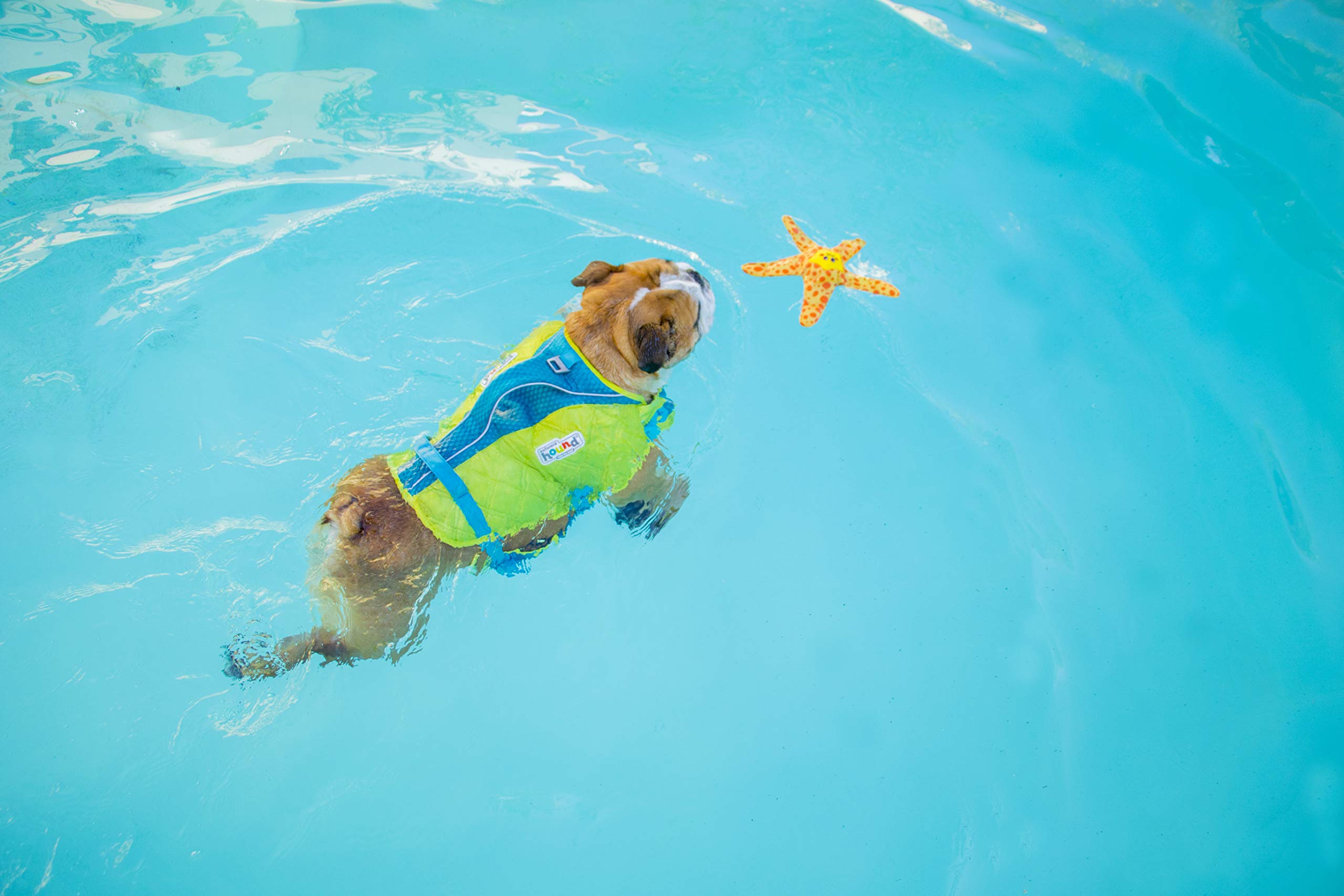 Outward Hound Floatiez Starfish Floating Dog Toy, Medium, Yellow/Red, 10.5x9.5 Inch - Perfect for Water Play and Fetch