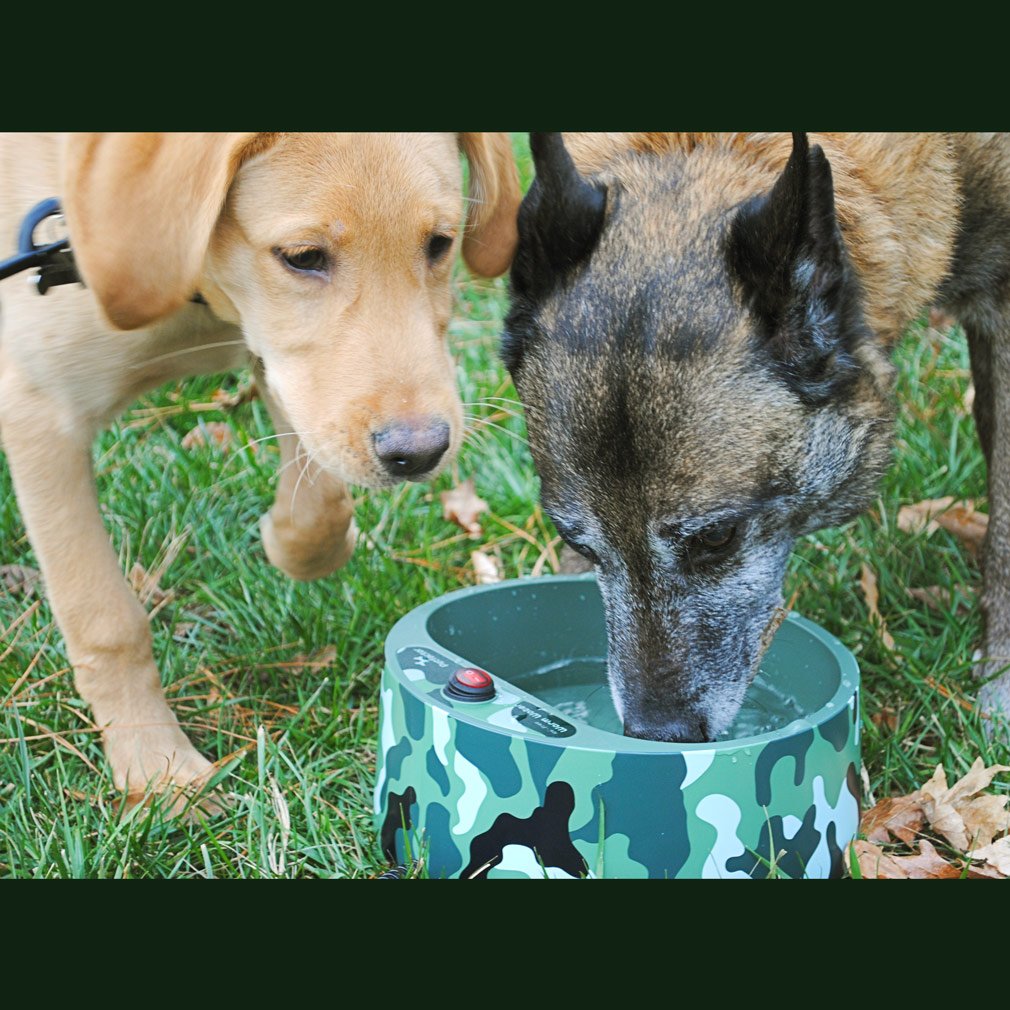 Petfactors Heated Pet Bowl, Outdoor Pet Thermal Water Bowl, Dog Cat Heated Water Bowl with 69 Inch Chew Resistant Cord and Water