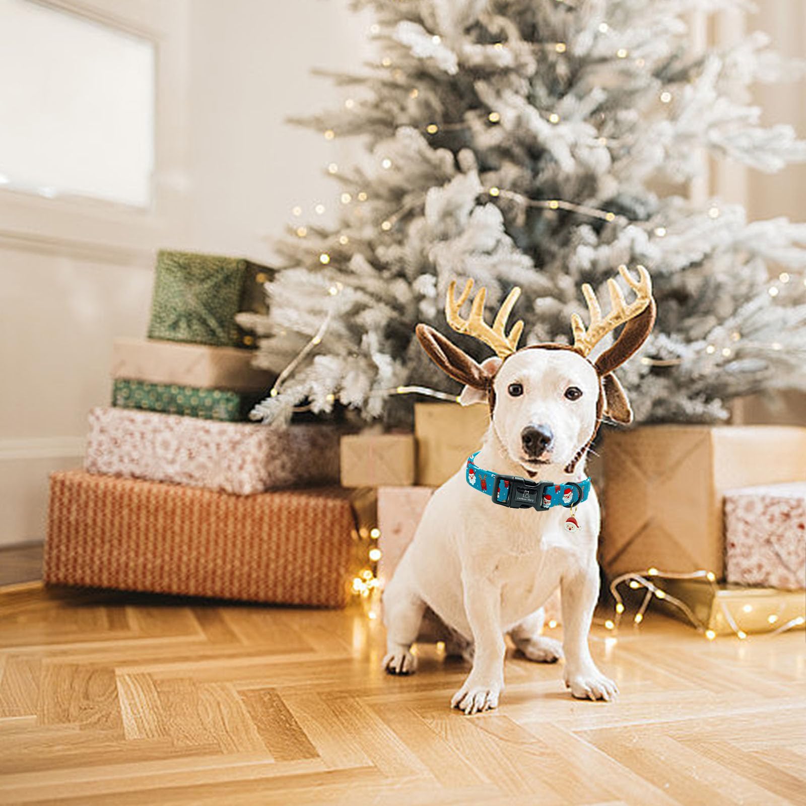 Lionheart Glory Christmas Dog Collar, Blue Christmas Santa Deer Dogs Collar Adjustable Soft Comfortable Collars For Medium Dogs