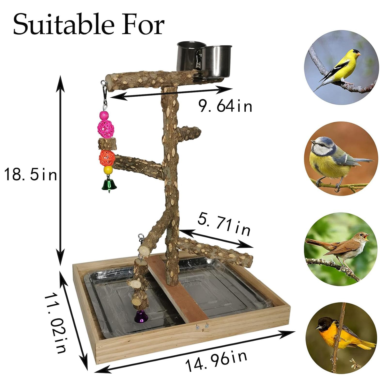 Tfwadmx Bird Perch Natural Wood Stand Parakeet Playground Toy Parrot Play Stand Platform Bird Cage Branch Perch Accessories For Canaries Cockatiels Conure Lovebirds