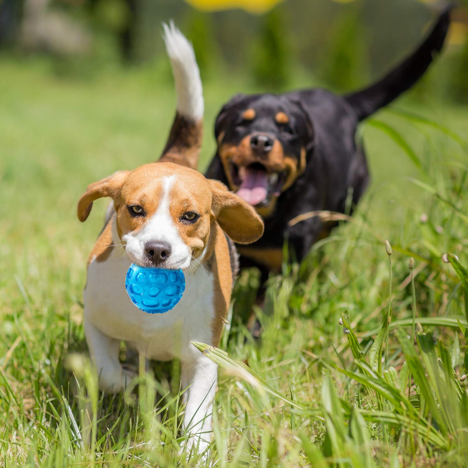 Pjdh 3'' Squeaky Dog Toy Balls For Lagre Medium Breed, Indestructible Dog Balls For Playing, Fetching & Retrieving, Durable Aggressive Chewers, 2 Pcs Blue+Purple