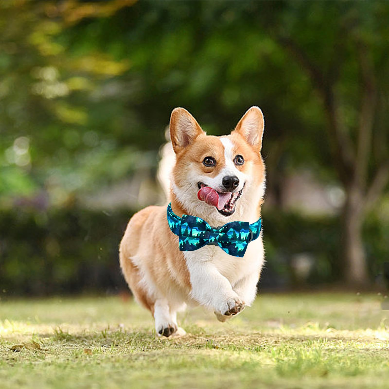 Lionheart Glory Dog Bow Collar Green Spring Summer Cute Collars For Large Dogs, Soft Duty Adjustable Dog Collar With Bowtie Pet