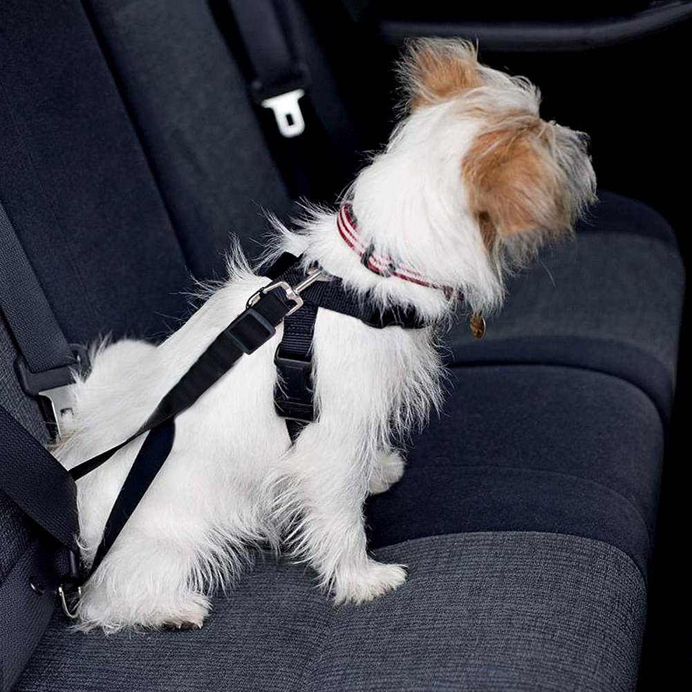 Pangjianqing Car Seat Belt For Pets, Adjustable Dog & Cat Belt Leash, Quick & Easy Installation, Universal Fitting, Black, 1 Cou
