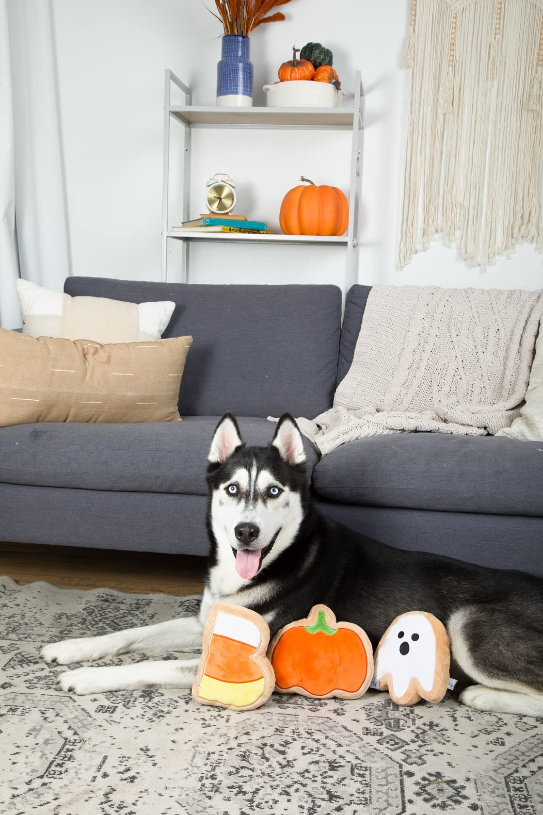 Midlee Boo Sugar Cookie Halloween Plush Dog Toys (Large)