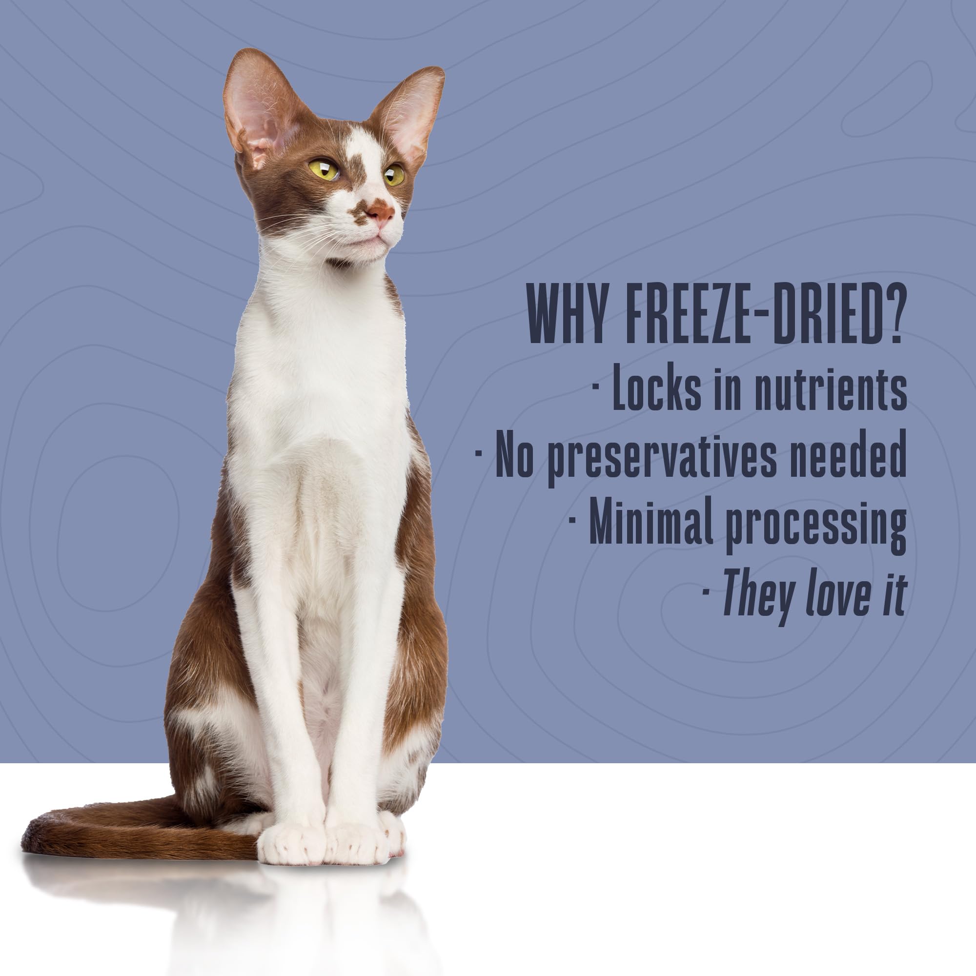 Whole Life Cat Freeze Dried Cat Food - Human-Grade Wet Food Toppers, Single Ingredient Snacks & Lickable Treats, Instantly Hydra