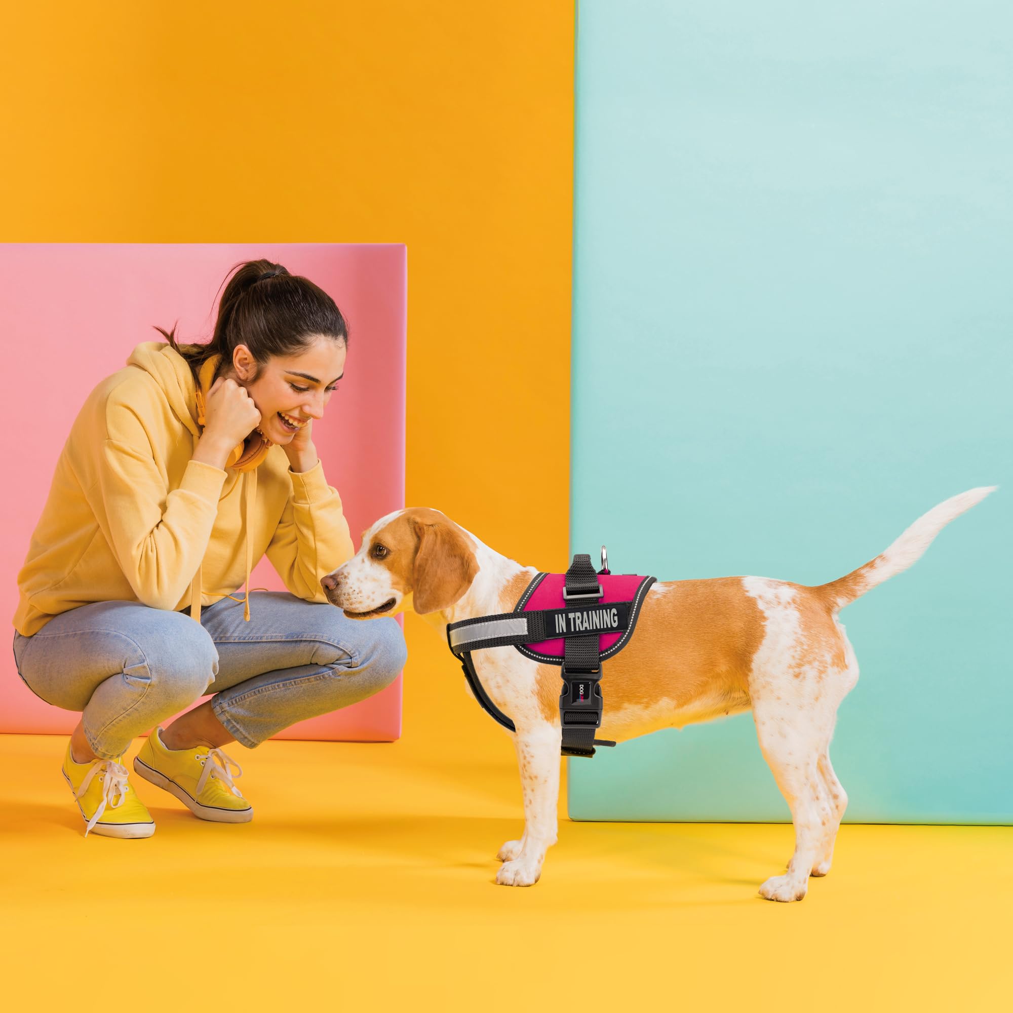 Dogline Vest Harness For Dogs And 2 Removable In Training Patches, Medium/22 To 30', Pink