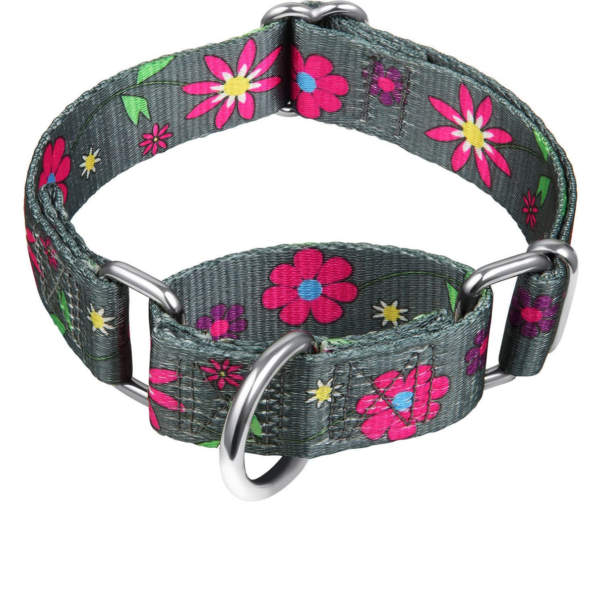 Martingale Collar Floral Print Dog Collar - Dazzber No Pull Pet Collar, Heavy Duty Adjustable Dog Collar, Medium, Neck 14 Inch -21 Inch, Sun Flower (Graphite Grey)