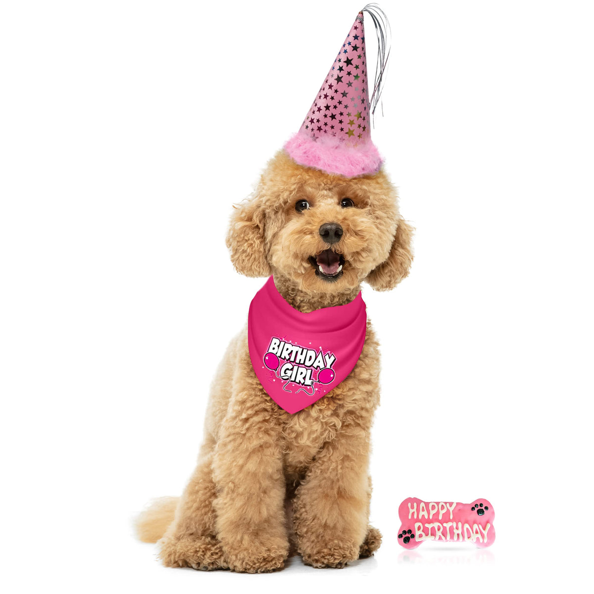 JT PET Dog Birthday Girl Party Pack with Bandana, Star Spangled Party Hat with Adjustable Elastic, Tassels and Feathery Trim, an