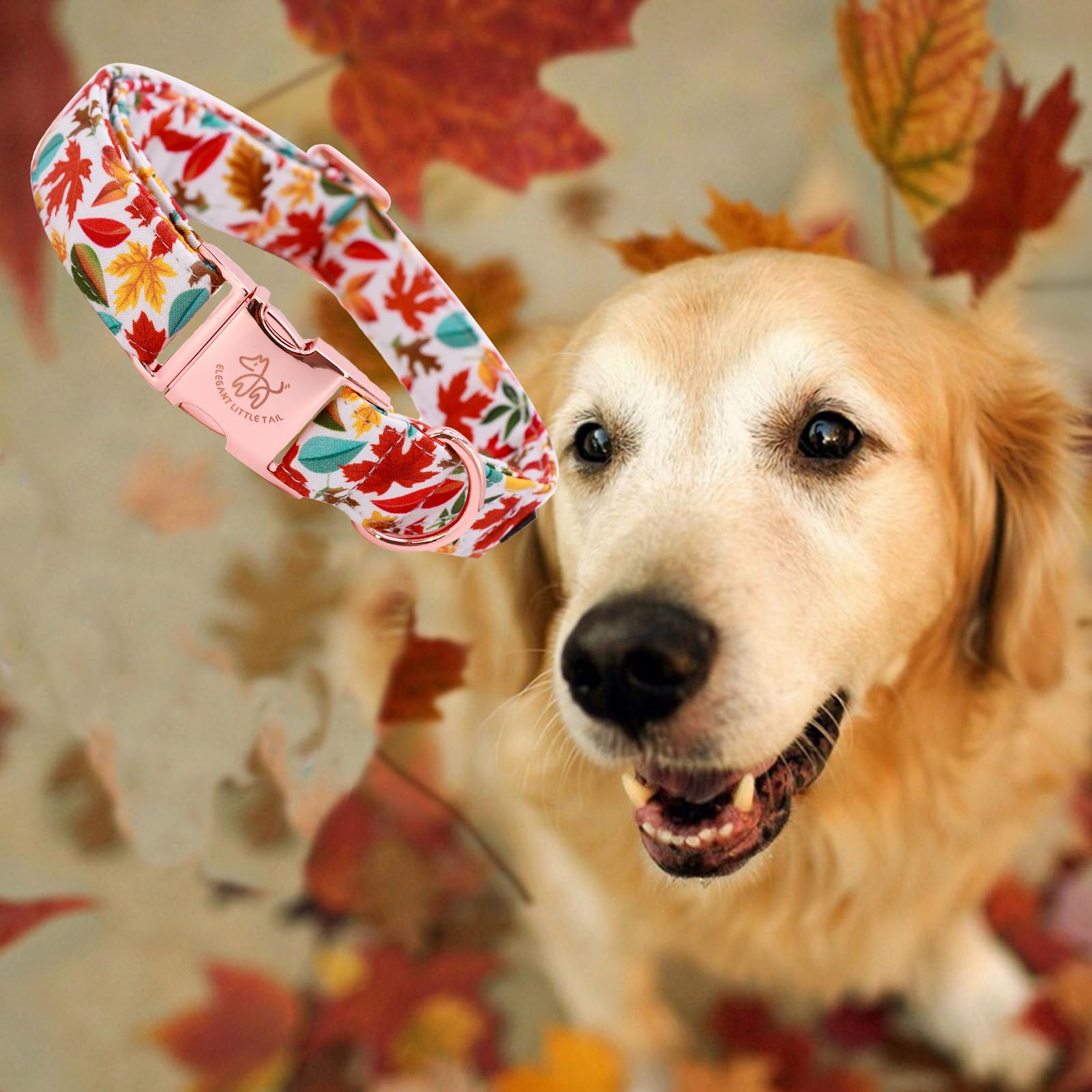 Elegant Little Tail Fall Dog Collar, Autumn Leaves Pet Collar Durable Dog Collars Male Or Female Holiday Pet Gift Adjustable Dog
