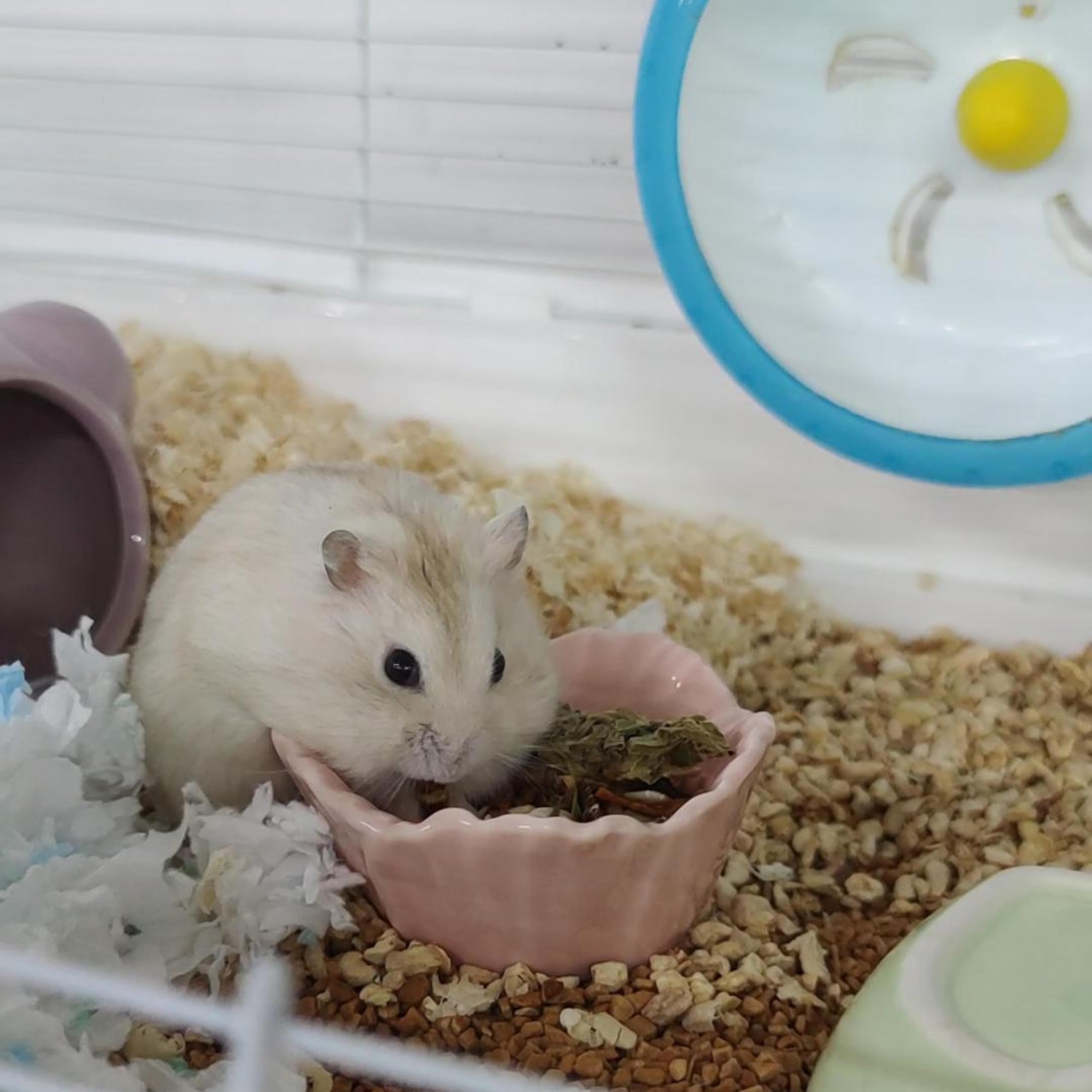 LuckyOpt Small Ceramic Pet Hamster Bowl, Easy to Clean Anti Flipping Hamsters Food and Water Bowl, Small Animal Bowls for Dwarf