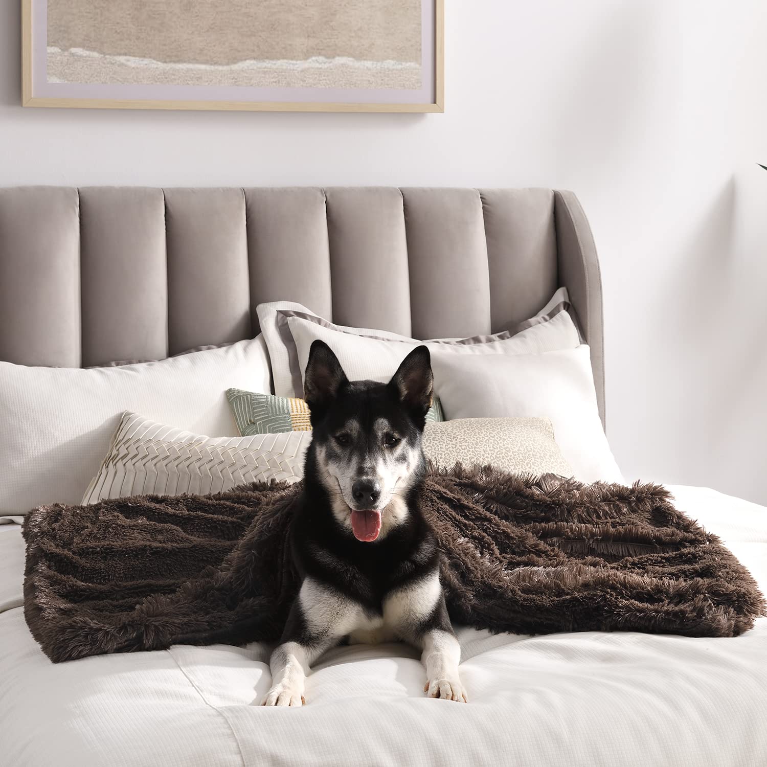 Best Friends By Sheri Calming Shag Fur Pet Throw Blanket, Dark Chocolate, 40'X50'