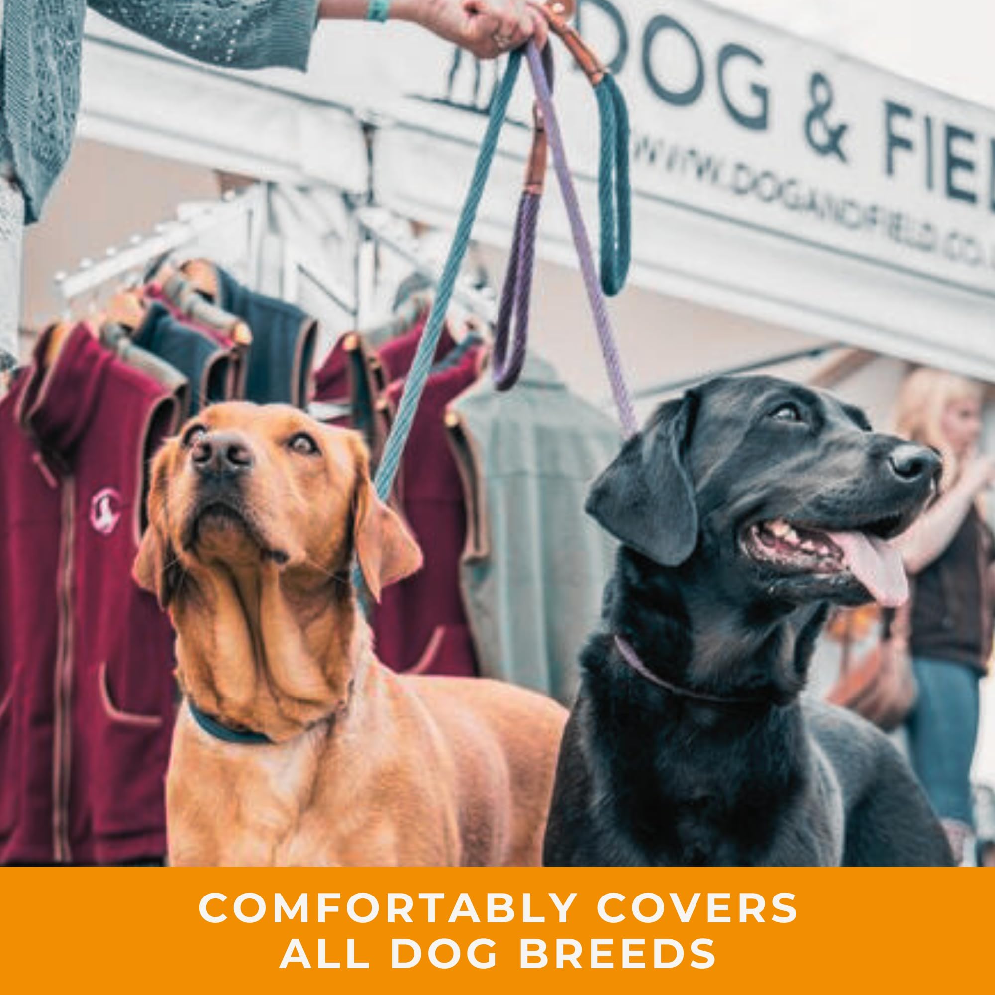 Dog & Field Lux Woven Slip Leash - Heather. 4Ft Slip Leash For Dogs, Soft Braided Rope Dog Lead With Brass Fittings & Leather Bi