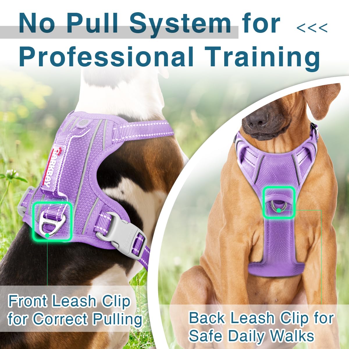 Barkbay Dog Harness No Pull With Id Tag Pocket - Heavy Duty, Reflective, Easy Control For Large Dogs (Violet Purple,M)