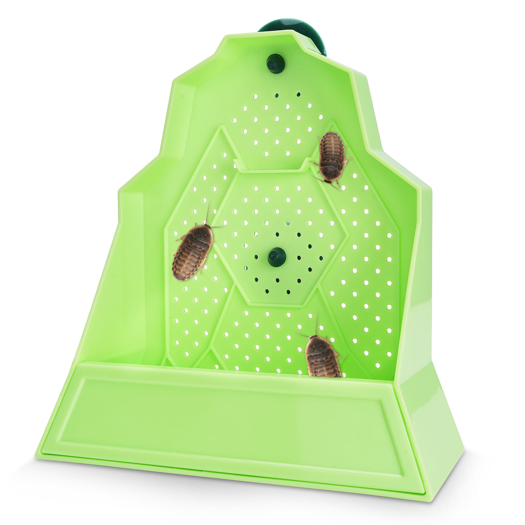 Eckpo Reptile Anti-Escape Feeding Bowl, Wall-Mounted Feeder for Reptile, Stimulate Hunting Accessories for Terrarium, Vivarium a