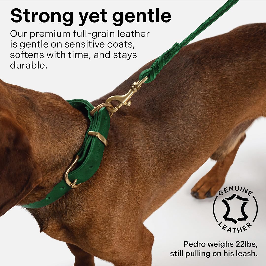 Scout Supply Classic Leather Dog Leash | Strong Heavy Duty Thick Full Grain Leather | Waterproof & Rust-Proof Brass Hardware (Gr