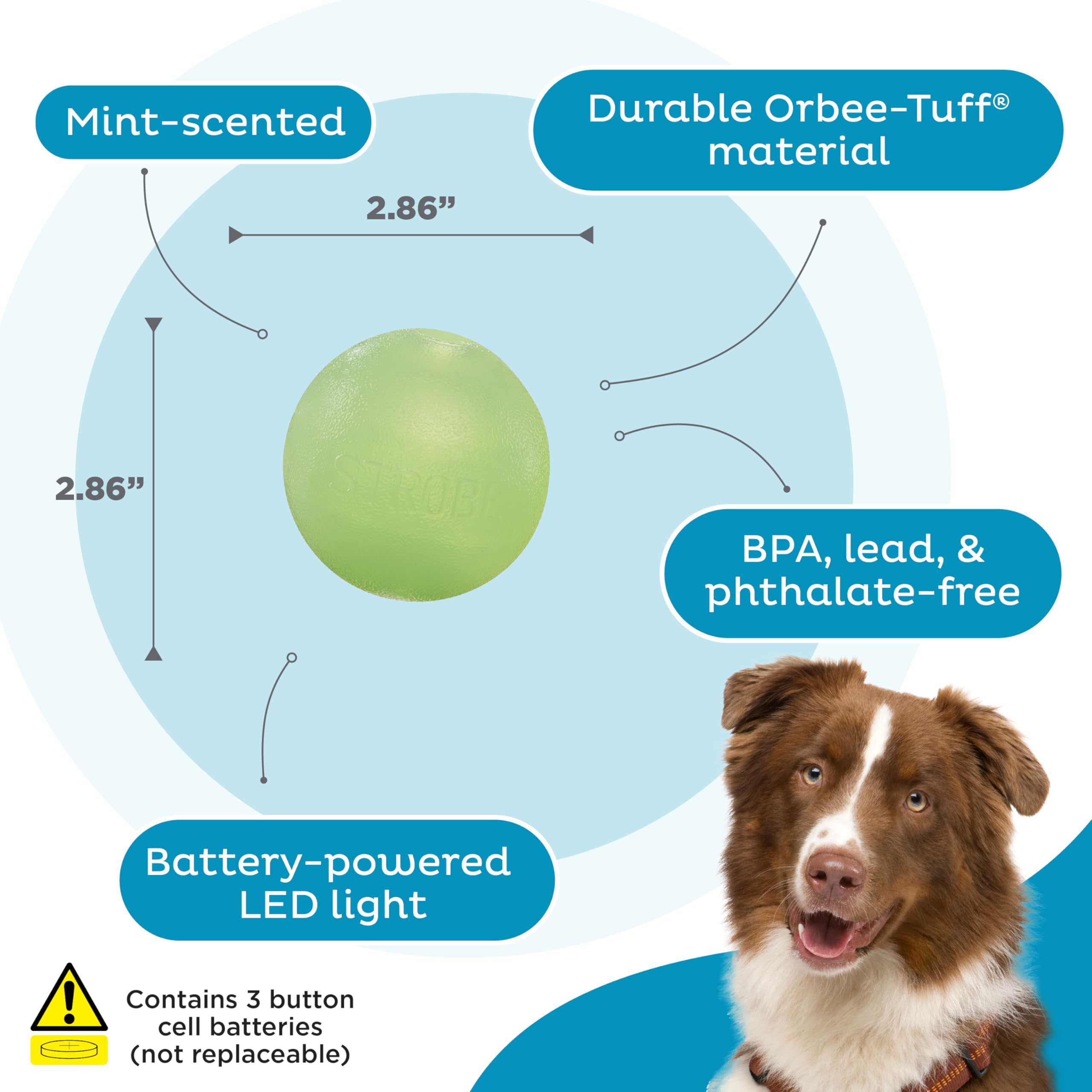 Outward Hound By Planet Dog Strobe Light Up Led Ball Dog Toy, Green
