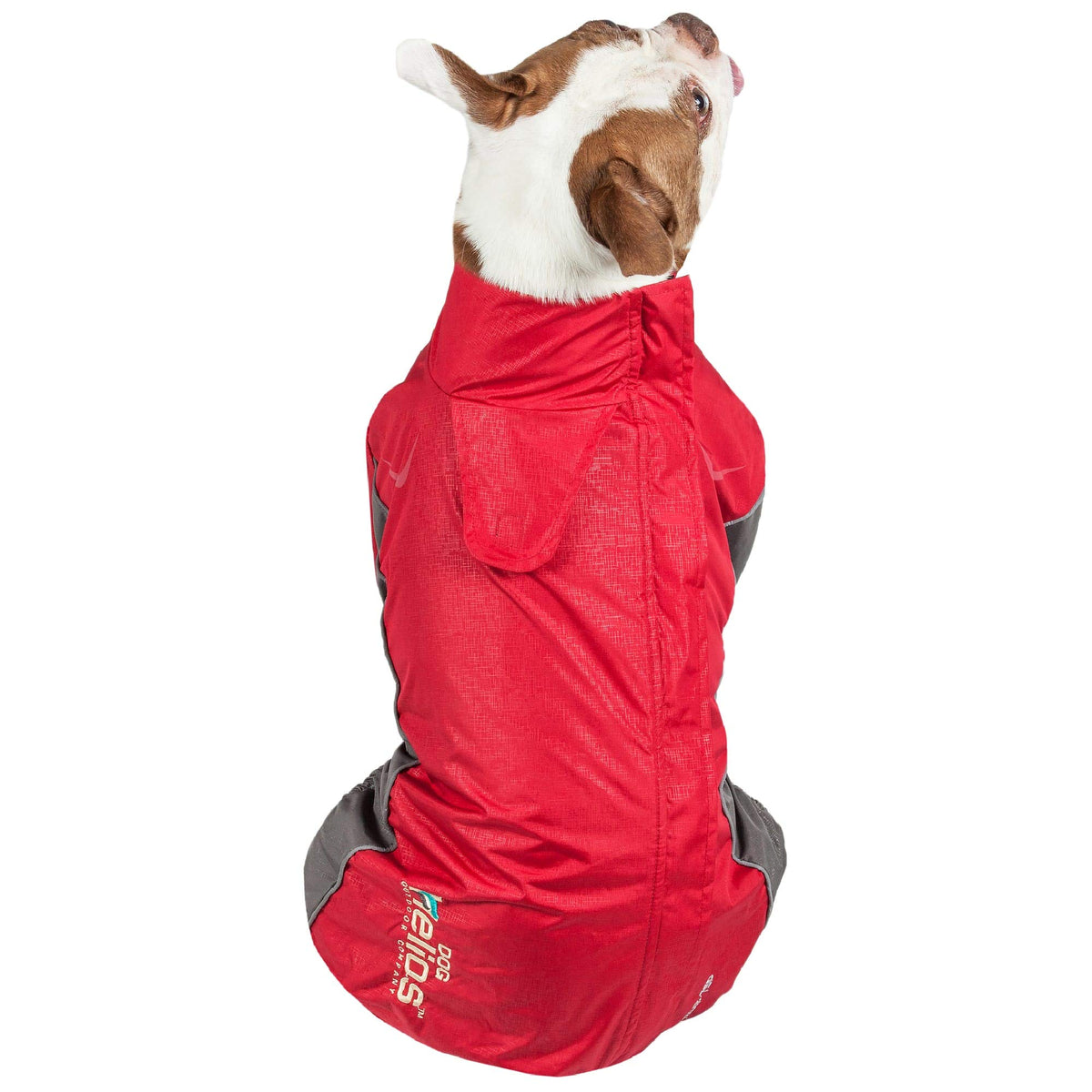 DOGHELIOS 'Blizzard' Full-Bodied Comfort-Fitted Adjustable and 3M Reflective Winter Insulated Pet Dog Coat Jacket w/ Blackshark Technology, X-Large, Cola Red