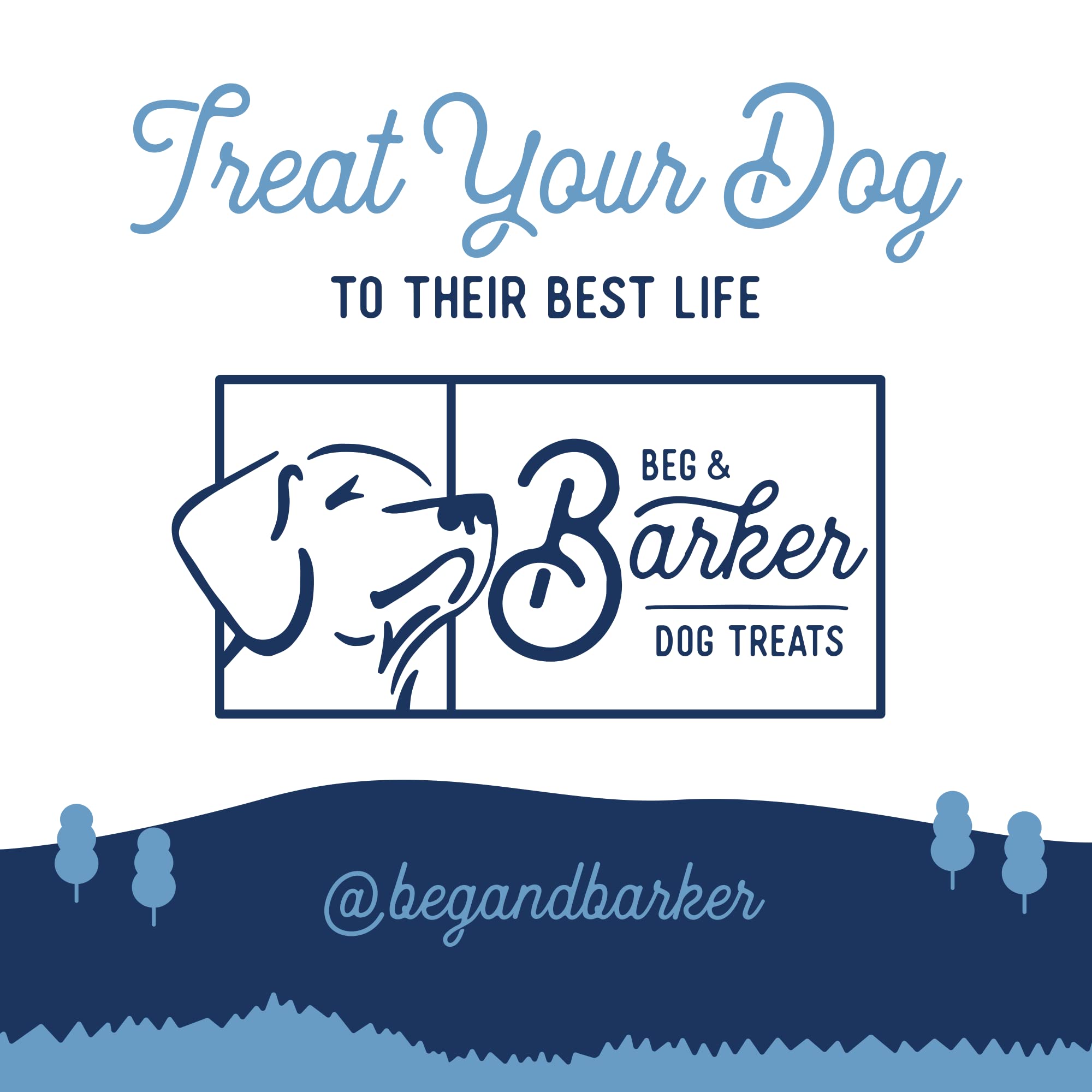 Beg & Barker Turkey Jerky for Dogs (4 Ounce, Pack of 1) - Dog Training Treats - Natural Dog Treats Made in The USA - Grain Free,
