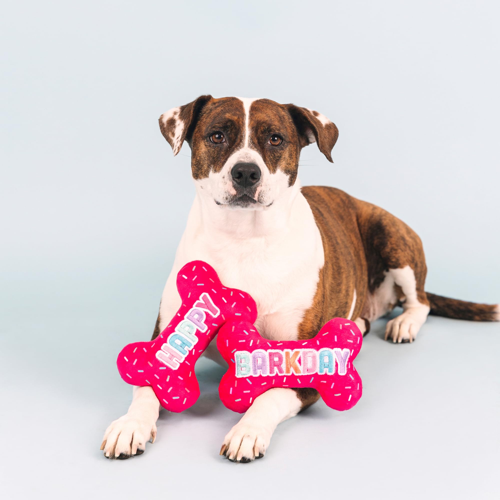 Fringe Studio Plush Dog Toy, It'S My Barkday, Pet Shop Collection (314226)
