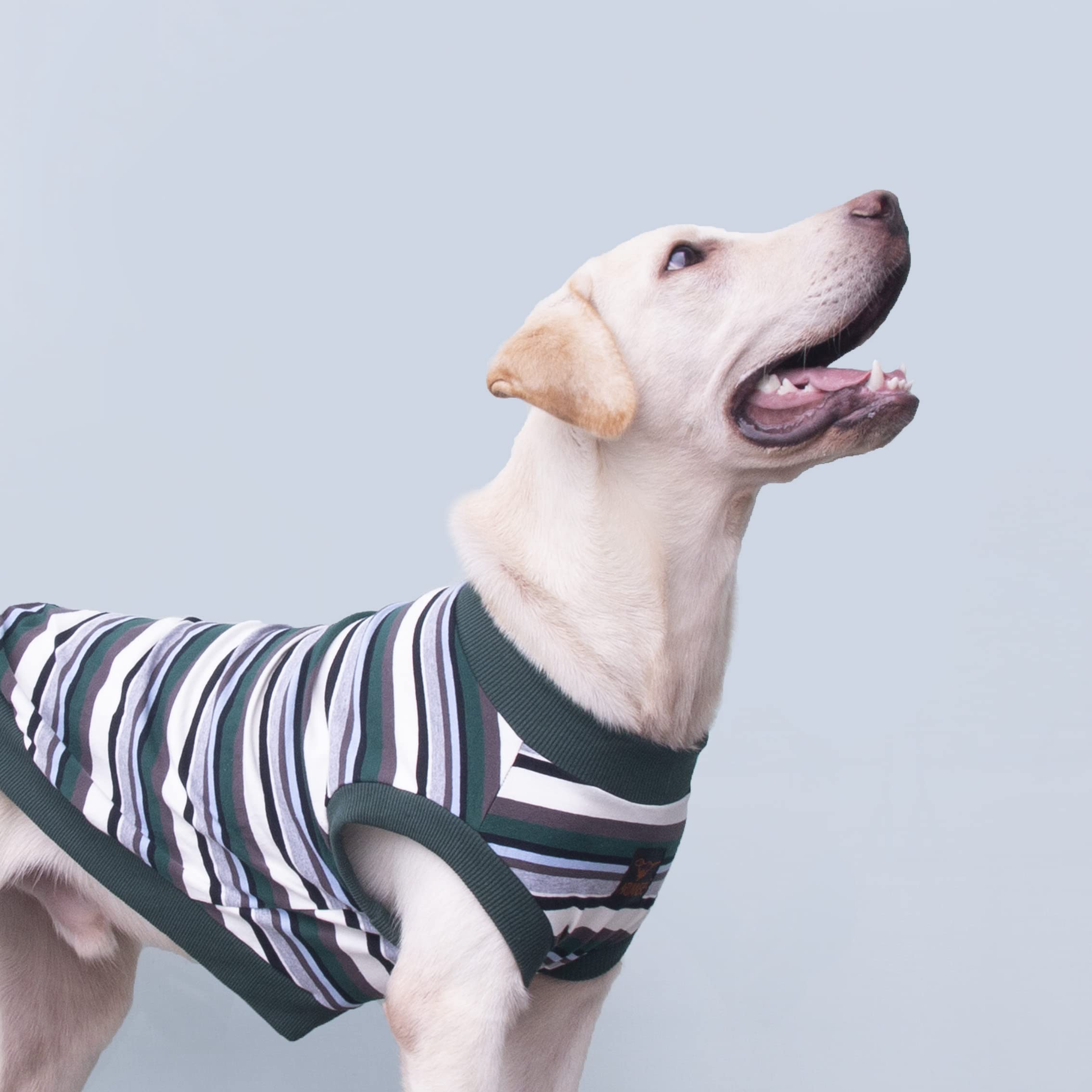 Arunners Extra Large Dog T Shirts Clothes Sleeveless Tank Top Vest For Labrador Rottweiler Great Dane, Green, 8X-Large