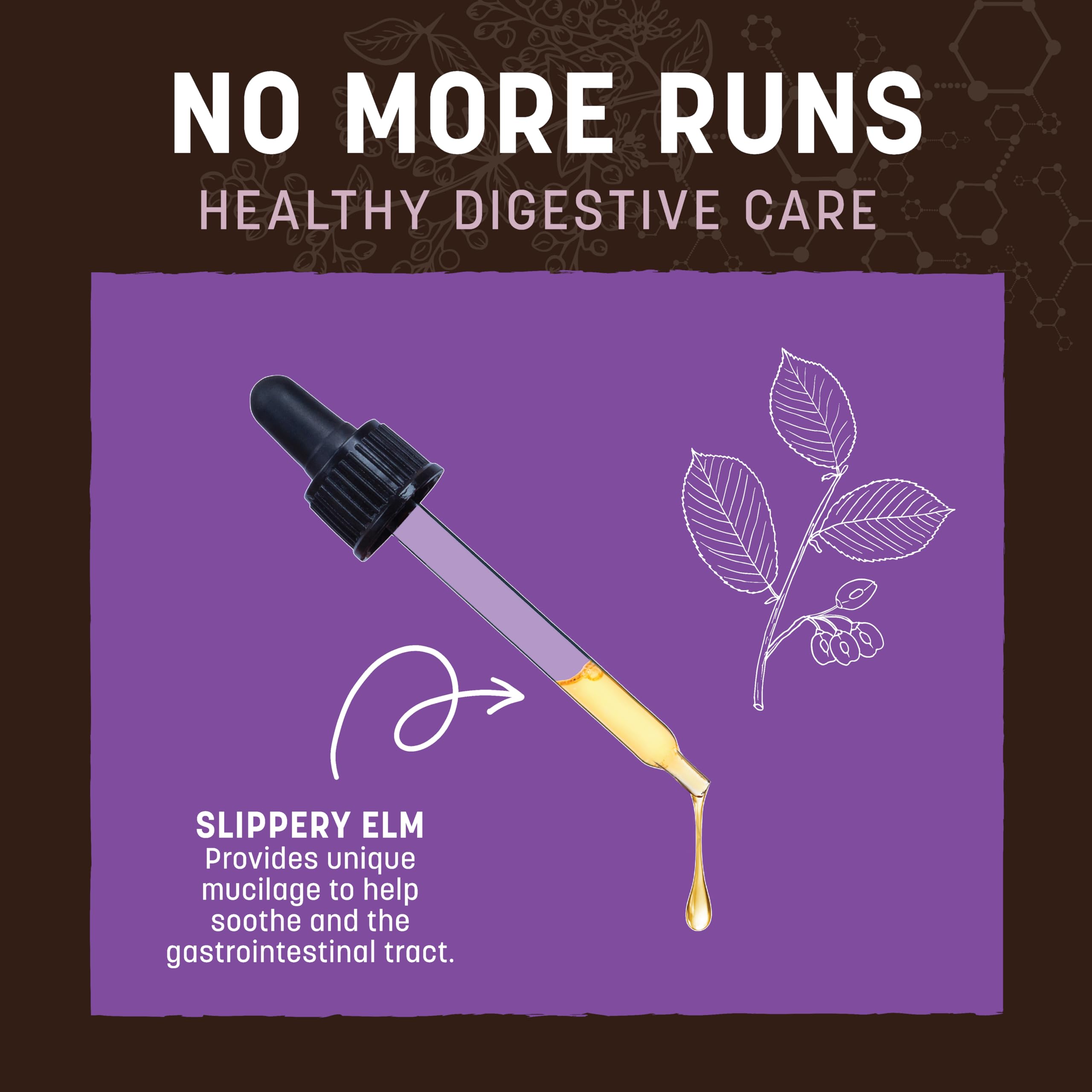 EARTH ANIMAL Herbal Remedies No More Runs, 2 oz - Effective Natural Solution for Digestive Health
