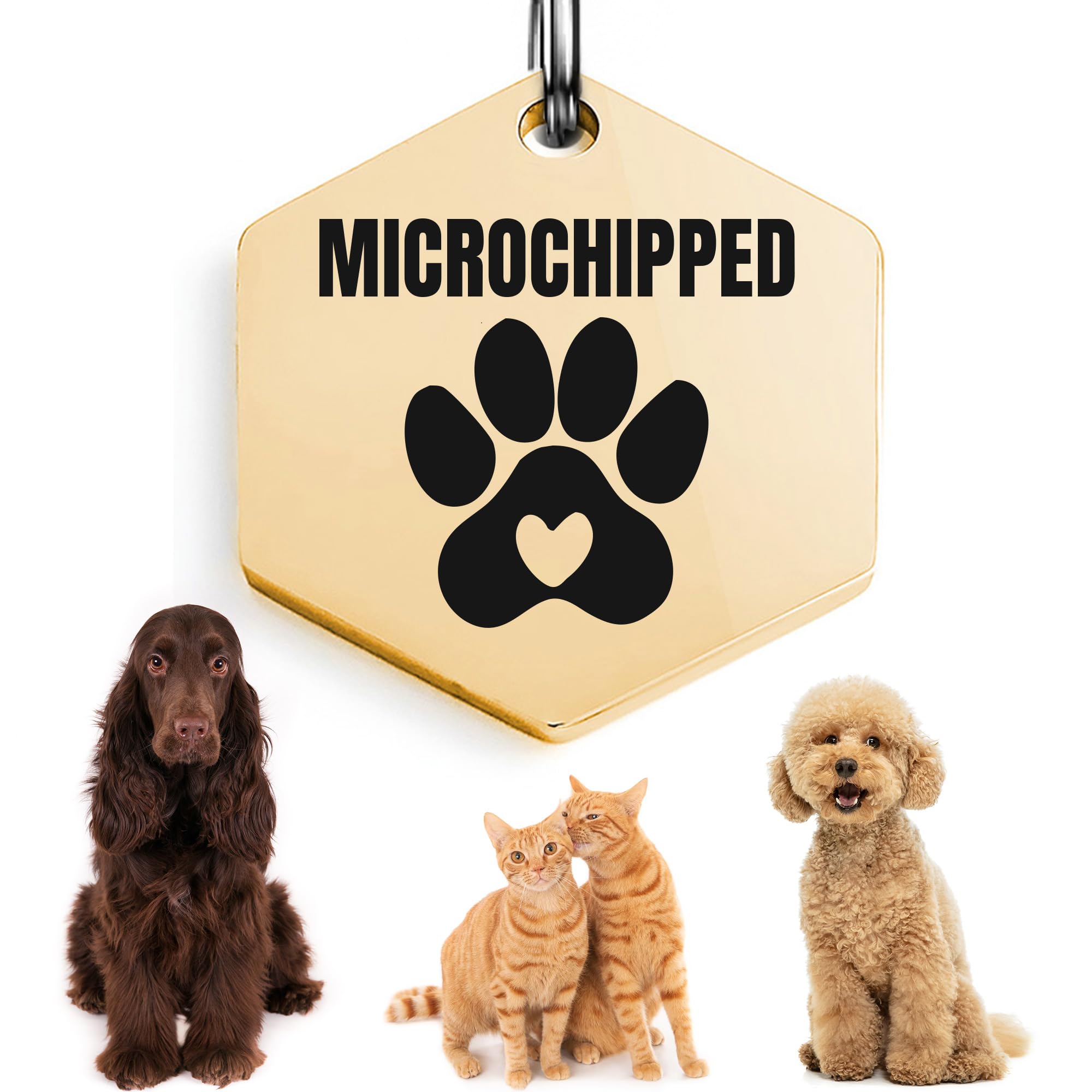 Universal Pet Tag Microchipped Pet Notation Fits All Collar Types Tag Chip Tag For Pets Dog Collar Gift Chip Id (Hexagonal_Gold)